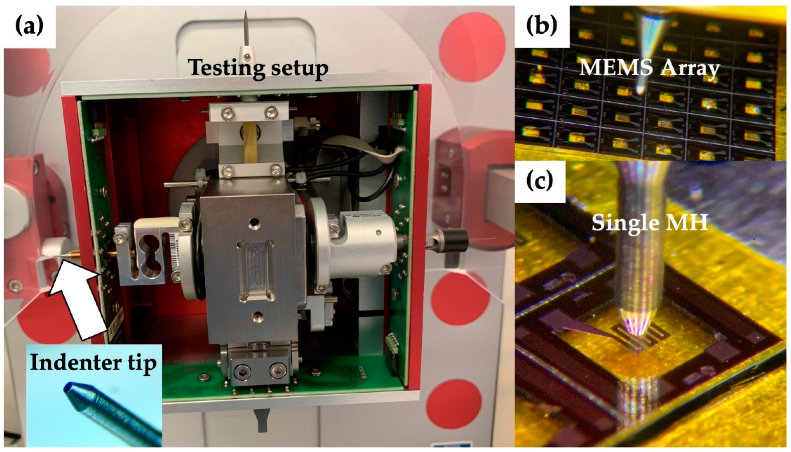 Sensors 21 00783 g008