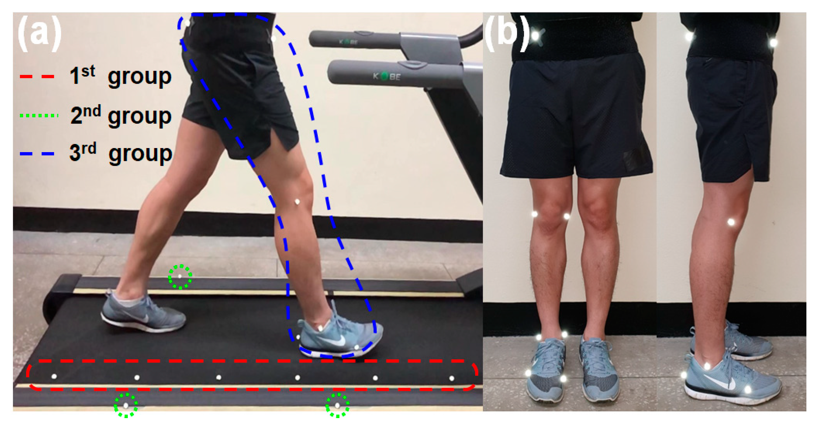 Sensors 21 00786 g002 Sensors 21 00786 g002