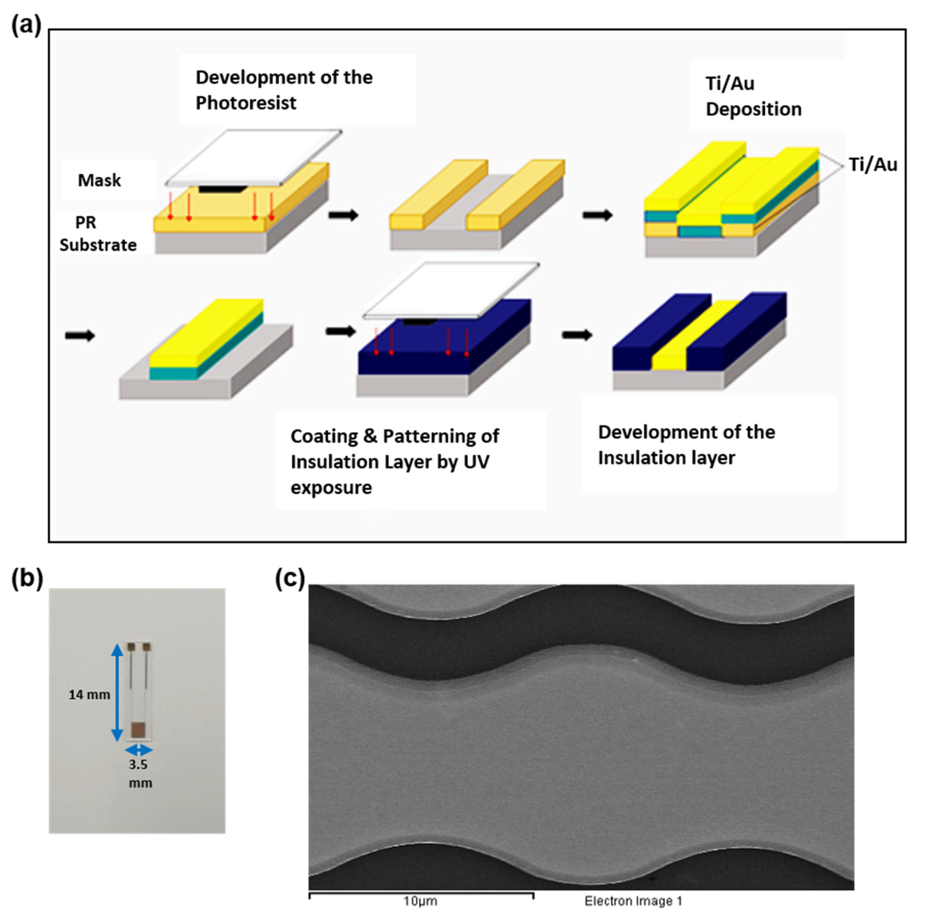 Sensors 21 00788 g001 Sensors 21 00788 g001