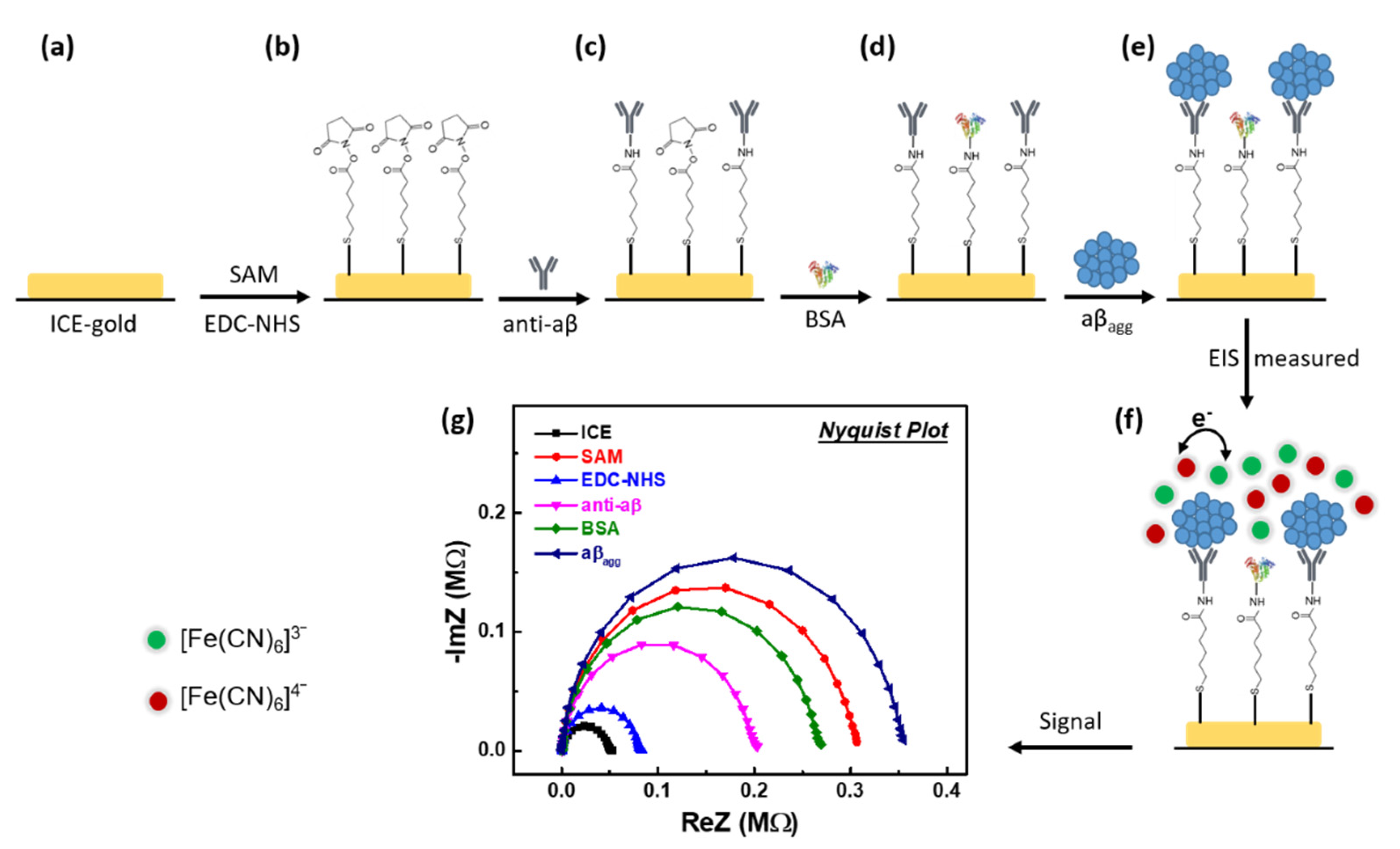Sensors 21 00788 g002 Sensors 21 00788 g002