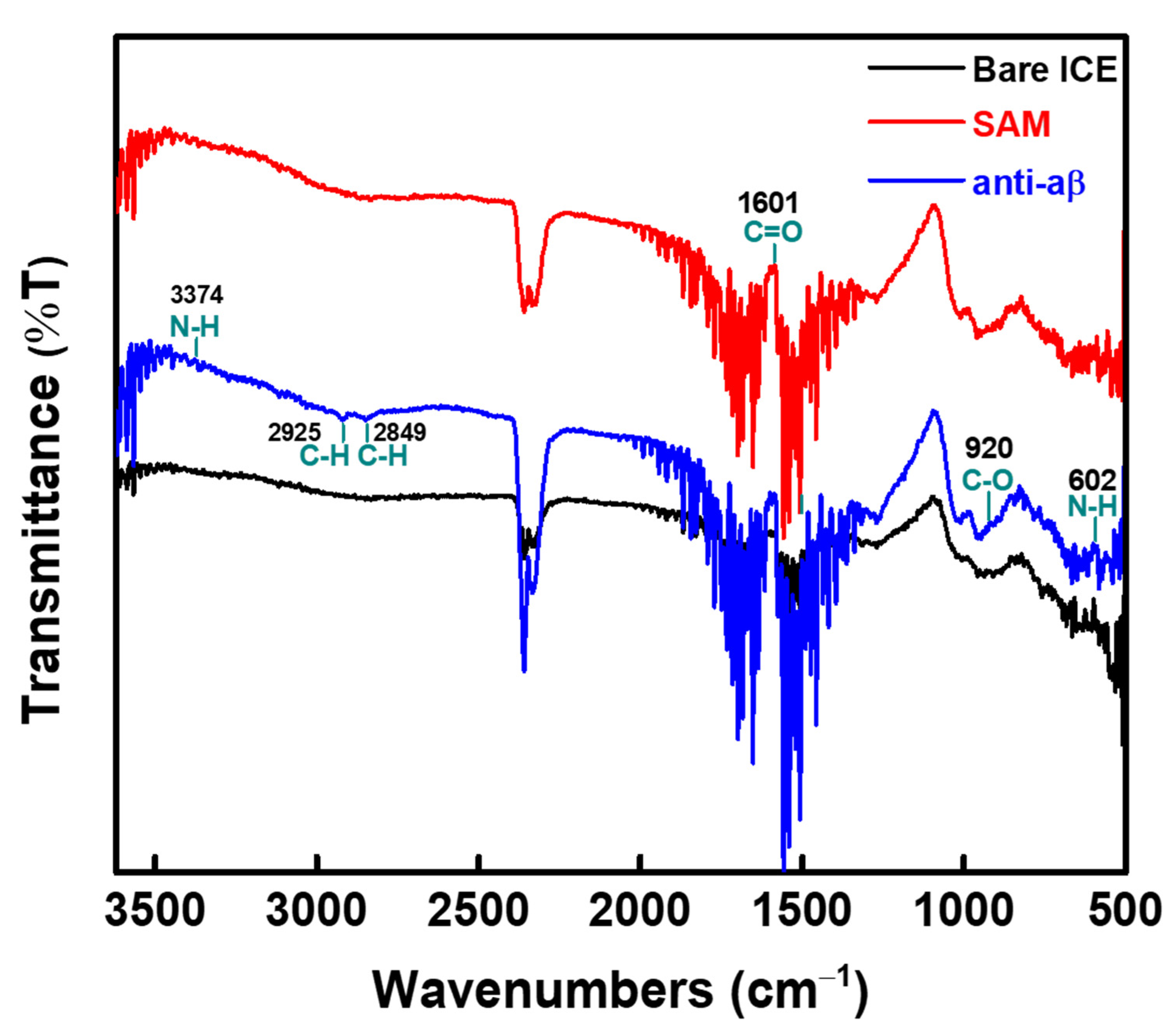 Sensors 21 00788 g004 Sensors 21 00788 g004