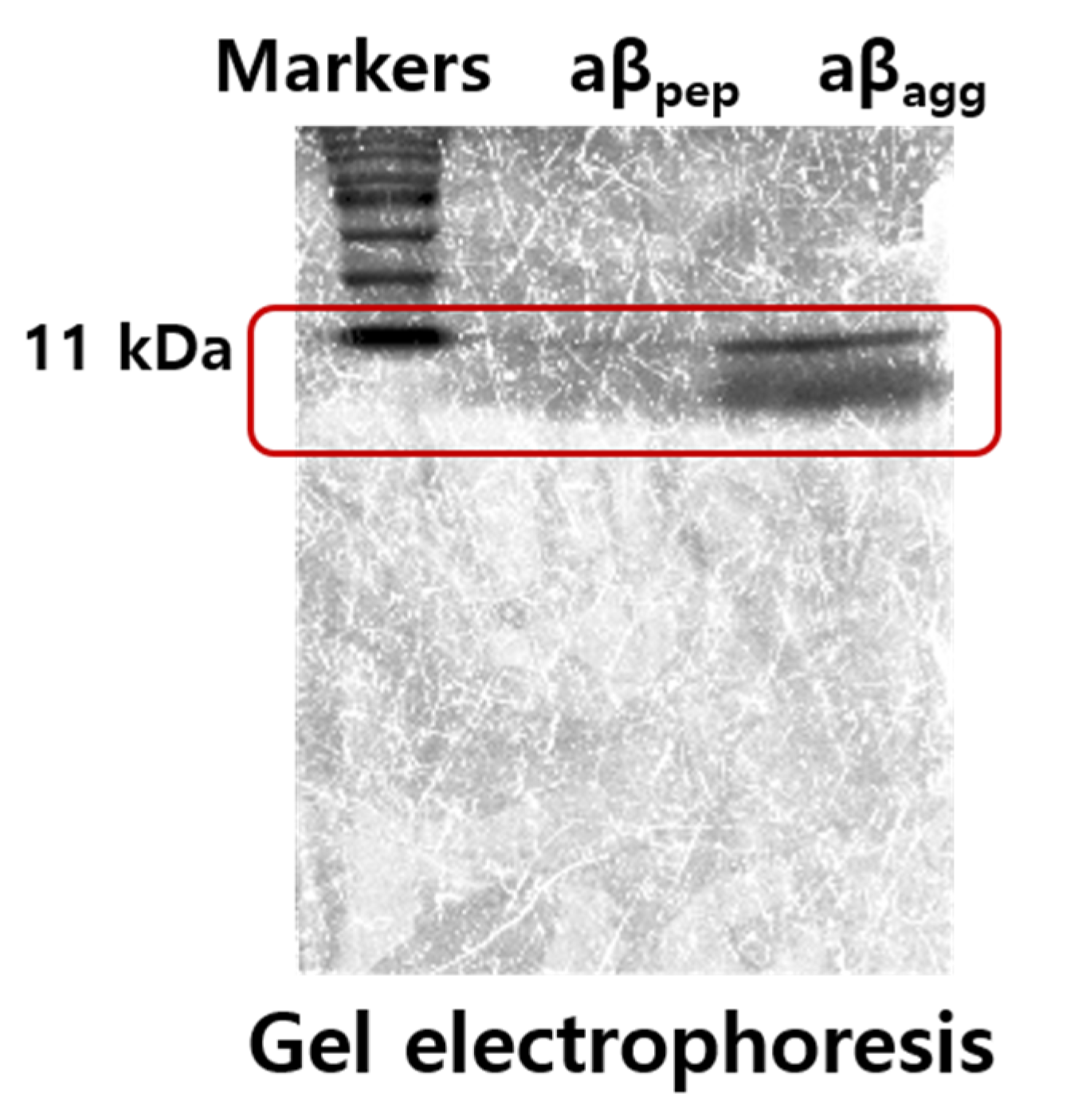 Sensors 21 00788 g006 Sensors 21 00788 g006