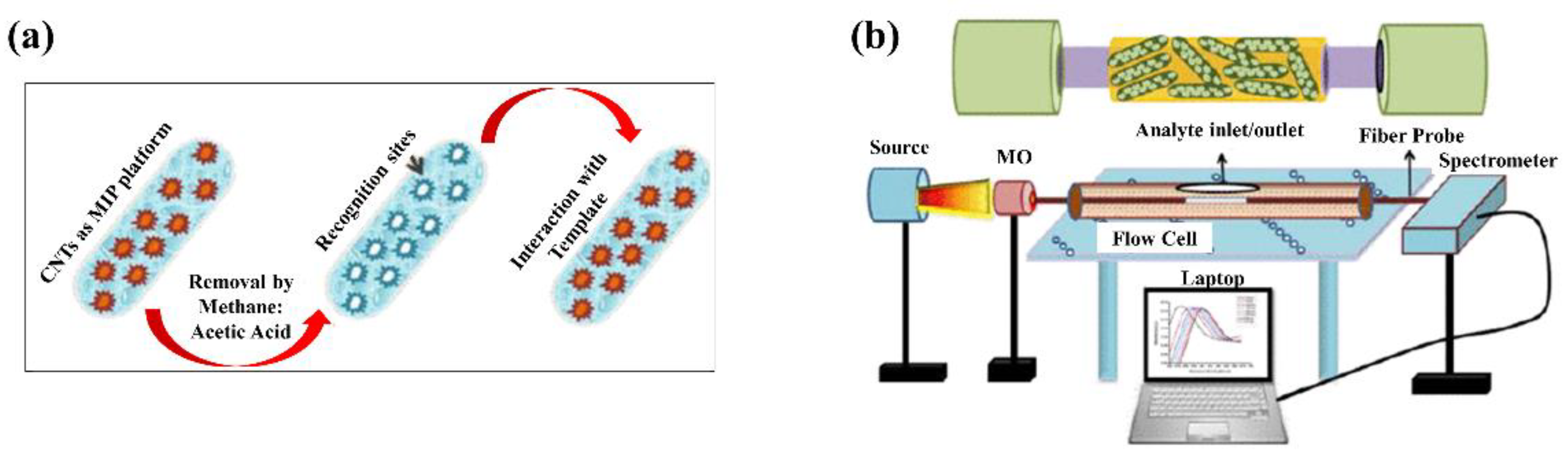 Sensors 21 00819 g006