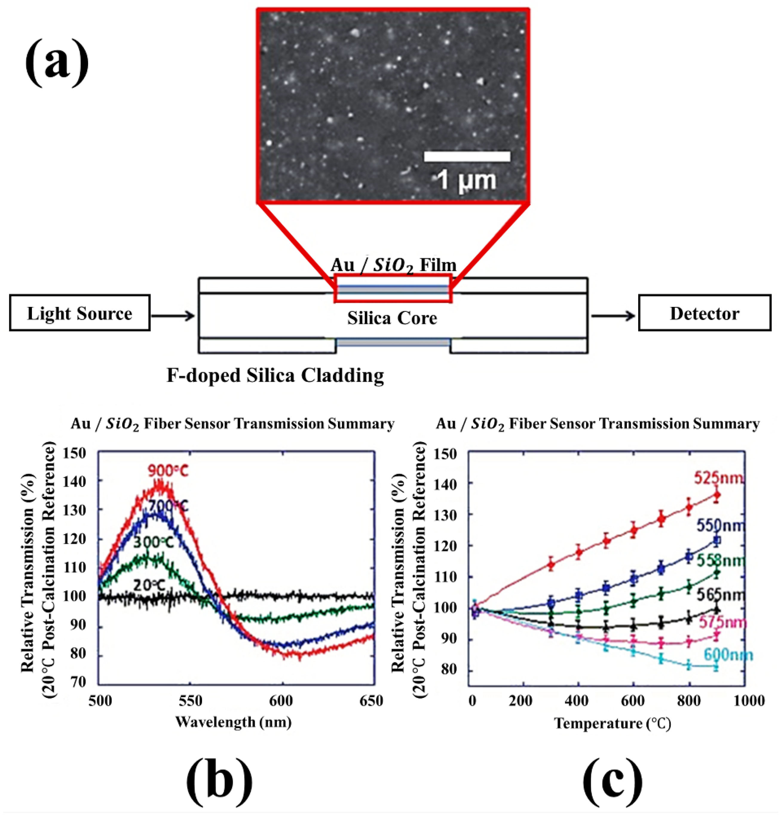 Sensors 21 00819 g008