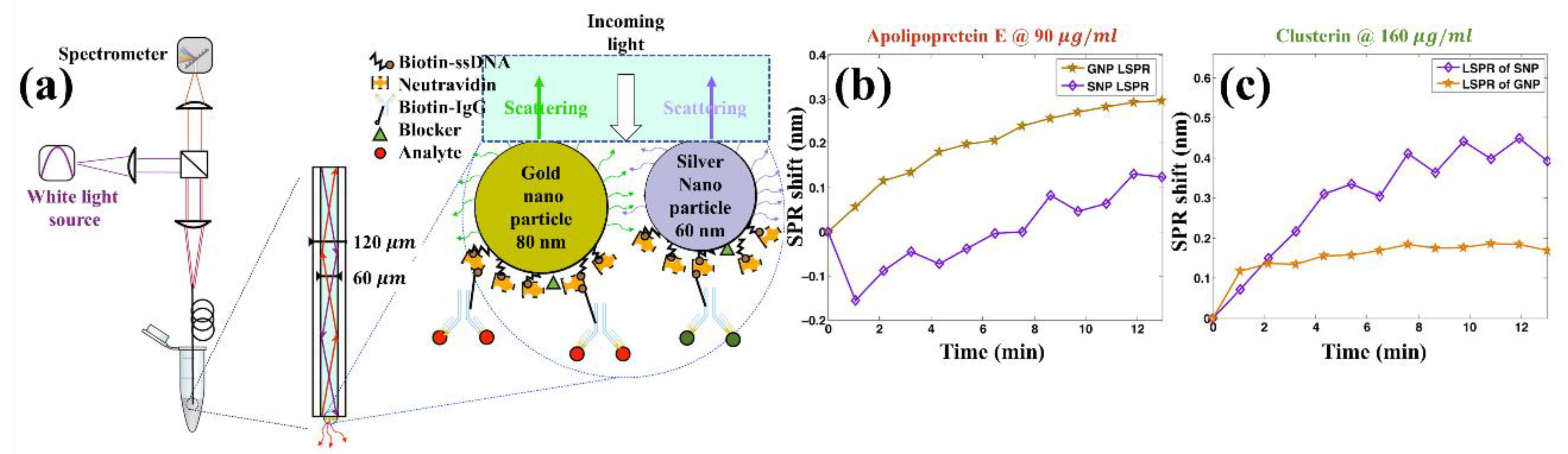 Sensors 21 00819 g012