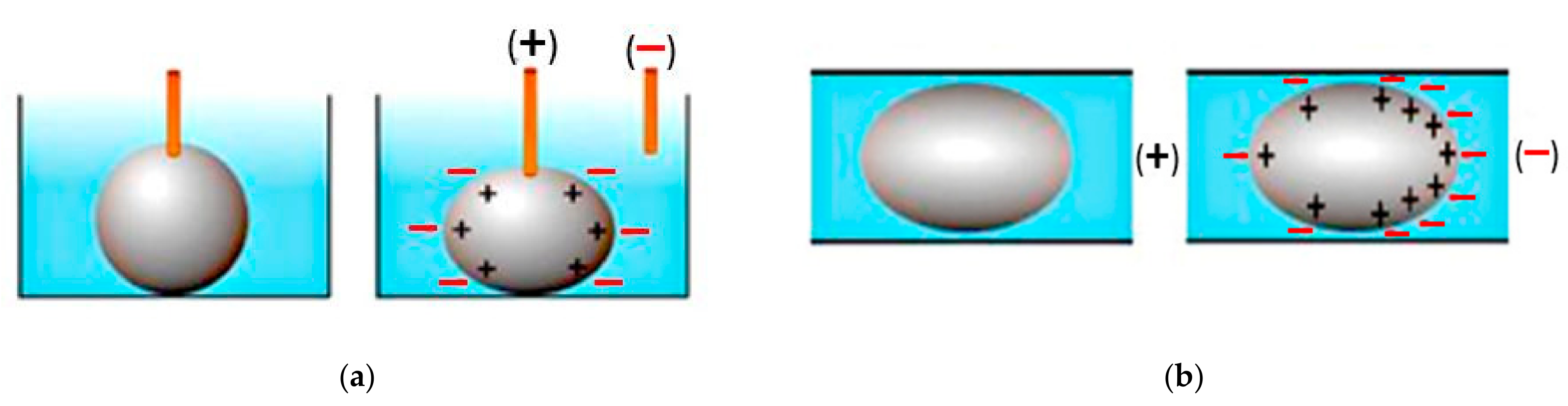 Sensors 21 00827 g001 Sensors 21 00827 g001