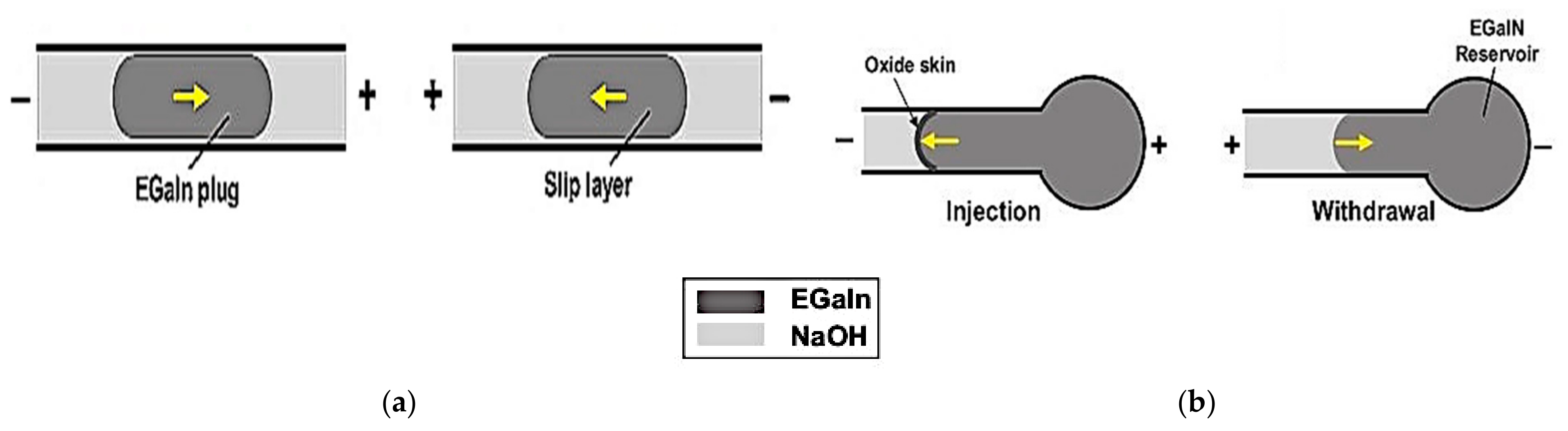 Sensors 21 00827 g002 Sensors 21 00827 g002