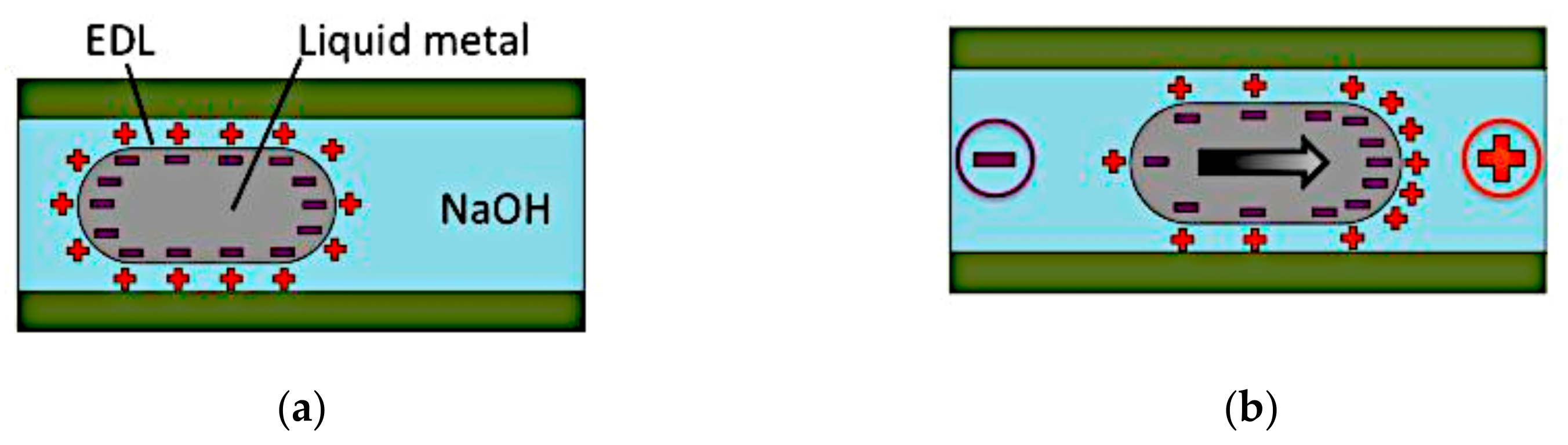 Sensors 21 00827 g003 Sensors 21 00827 g003