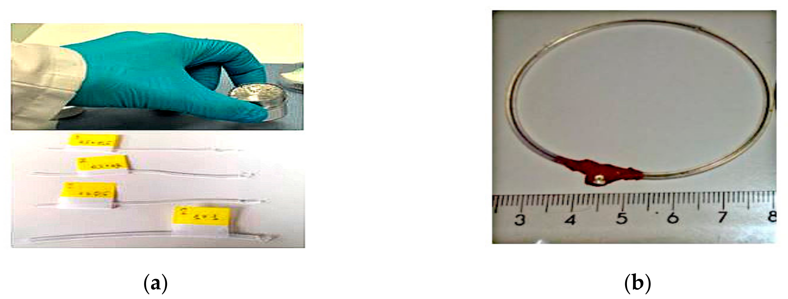 Sensors 21 00827 g010 Sensors 21 00827 g010