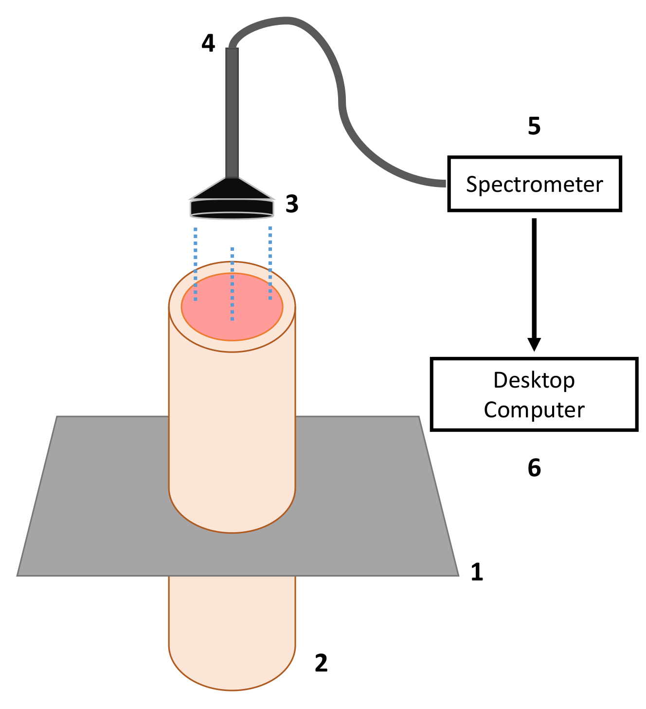 Sensors 21 00842 g003 Sensors 21 00842 g003