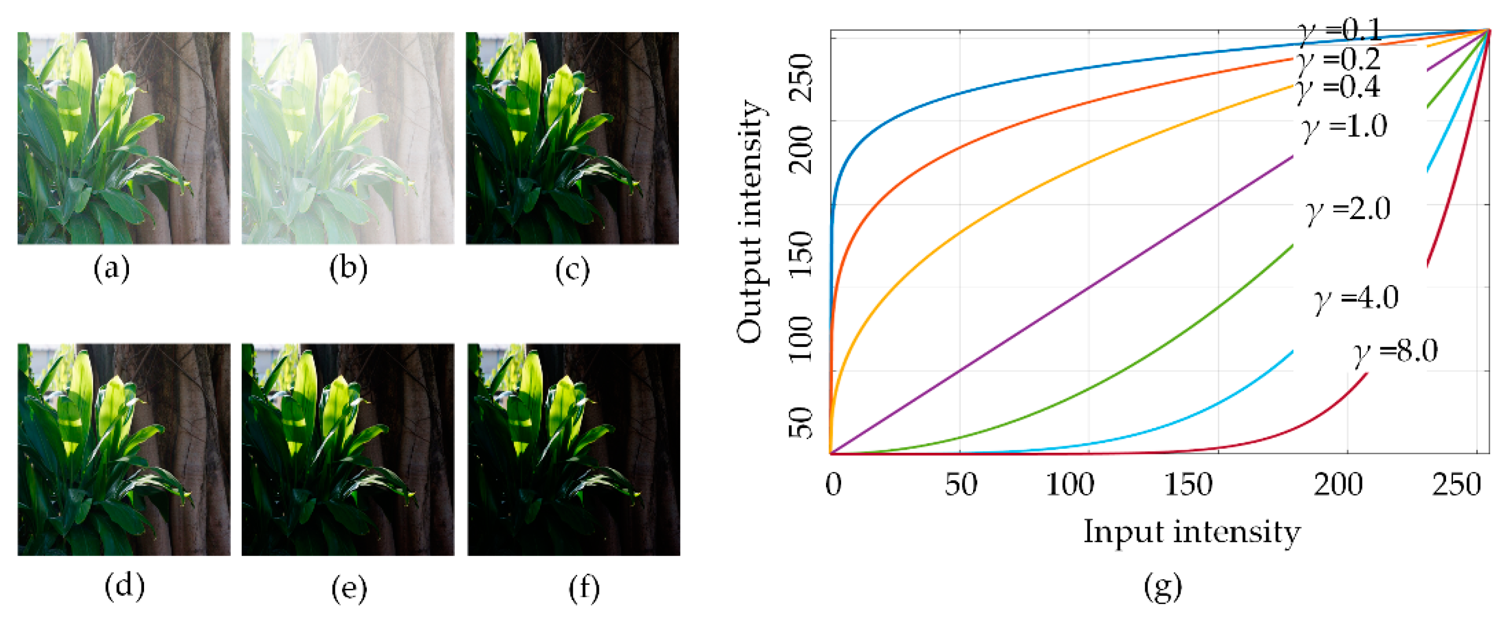 Sensors Free FullText GLAGC Adaptive DualGamma Function for
