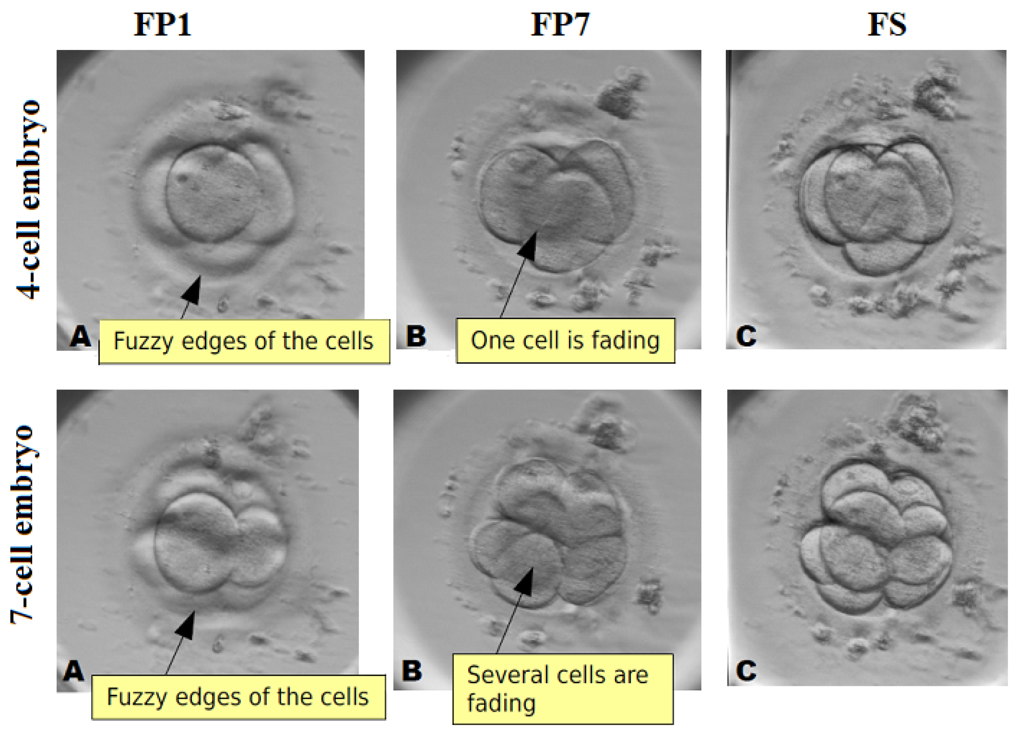Sensors 21 00863 g012