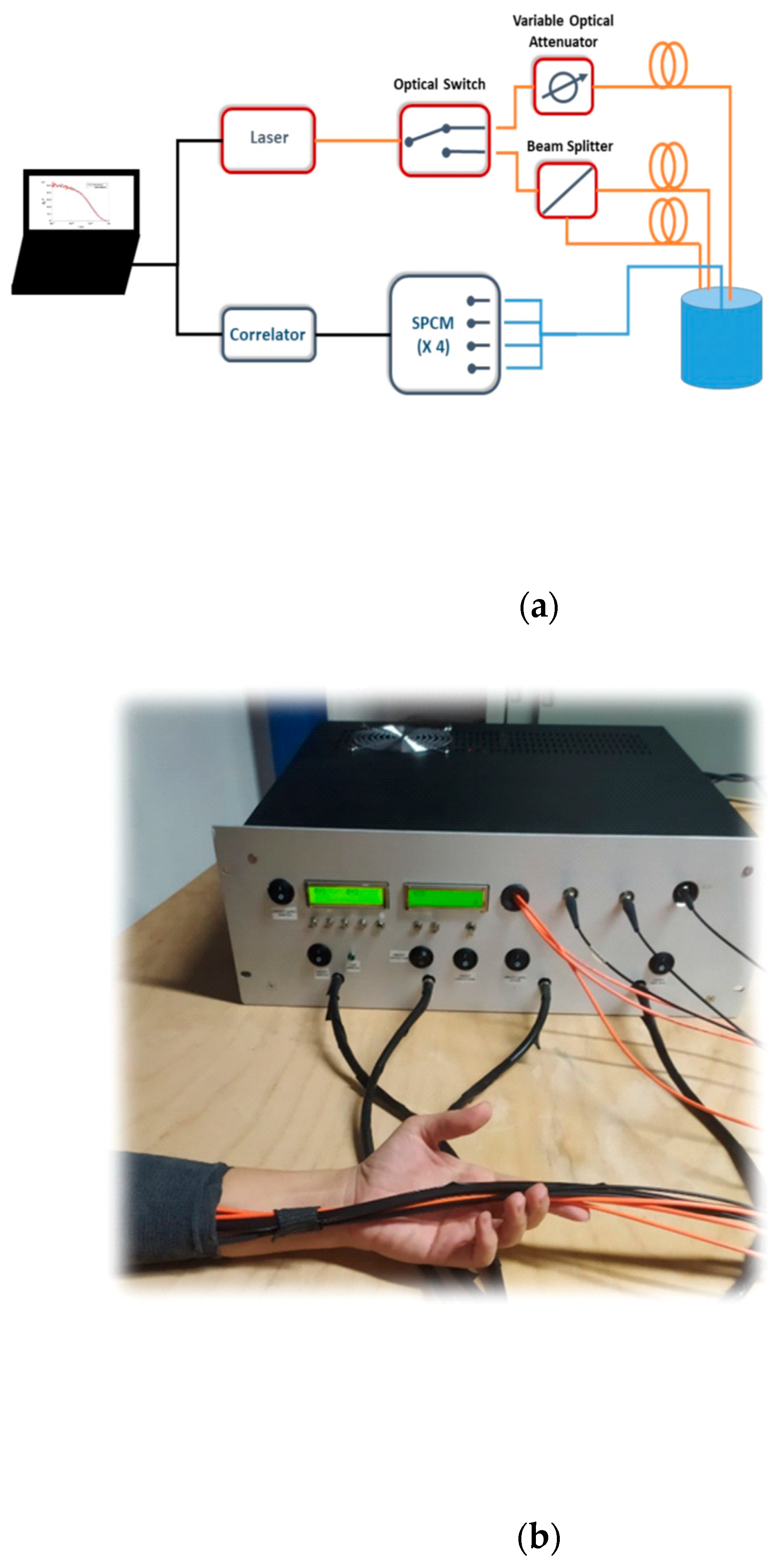 Sensors 21 00870 g001 Sensors 21 00870 g001