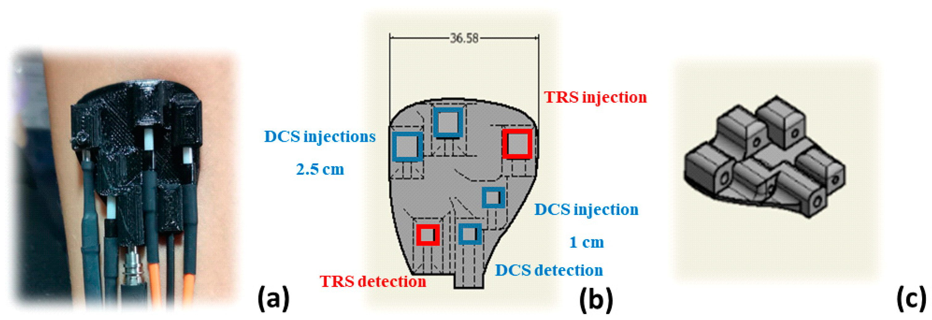 Sensors 21 00870 g002 Sensors 21 00870 g002