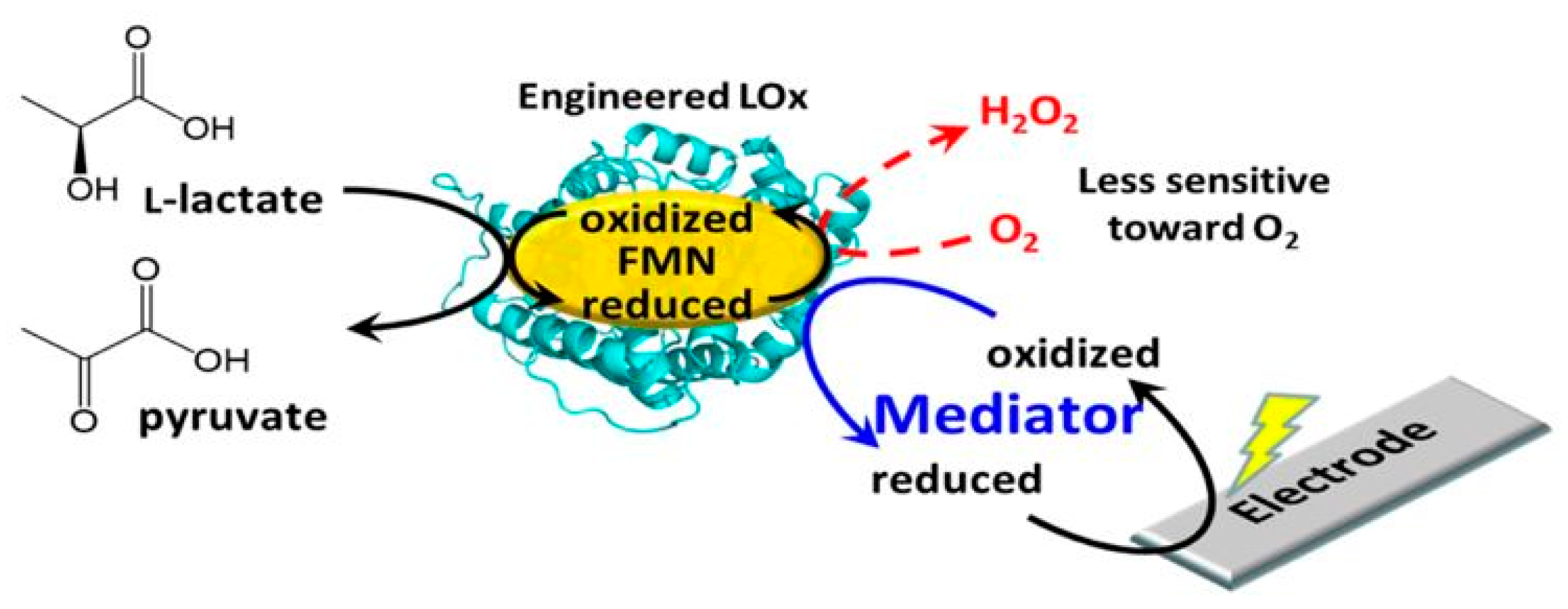 Sensors 21 00879 g002 Sensors 21 00879 g002
