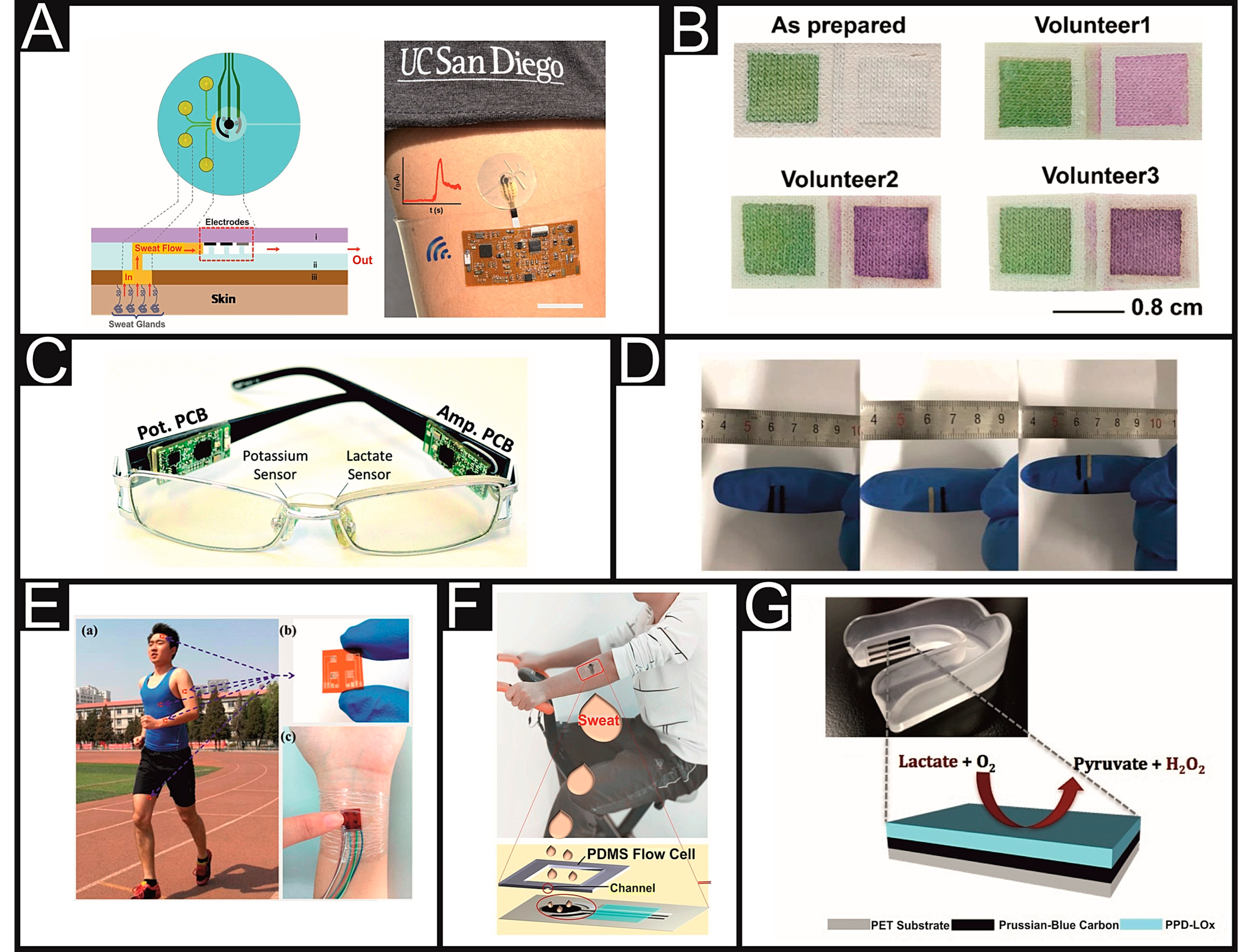 Sensors 21 00879 g003 Sensors 21 00879 g003