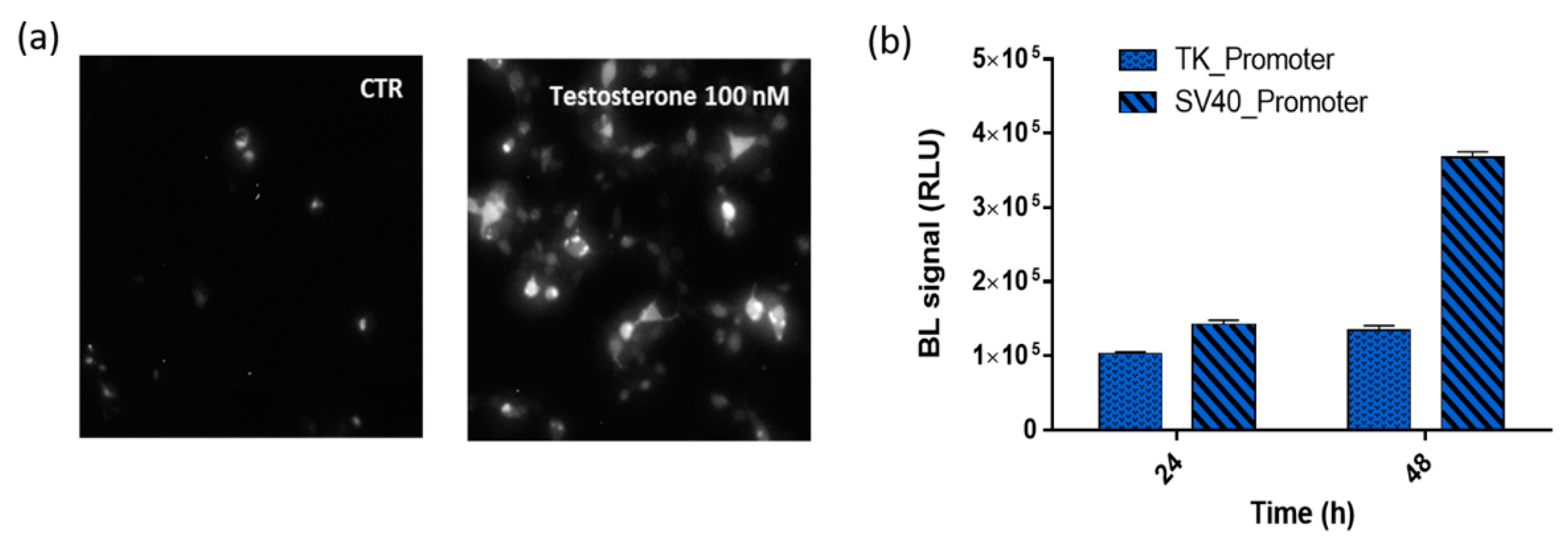 Sensors 21 00893 g003 Sensors 21 00893 g003