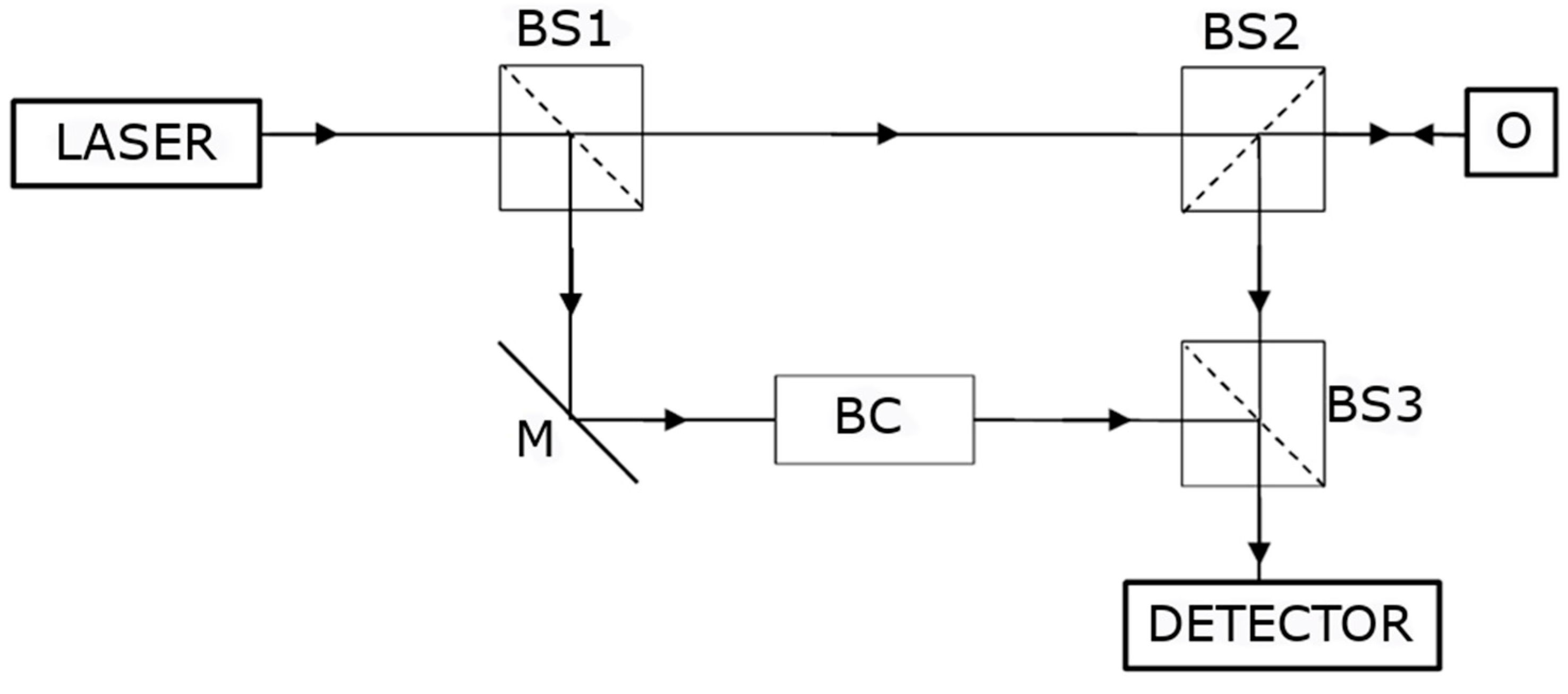 Sensors 21 00895 g001