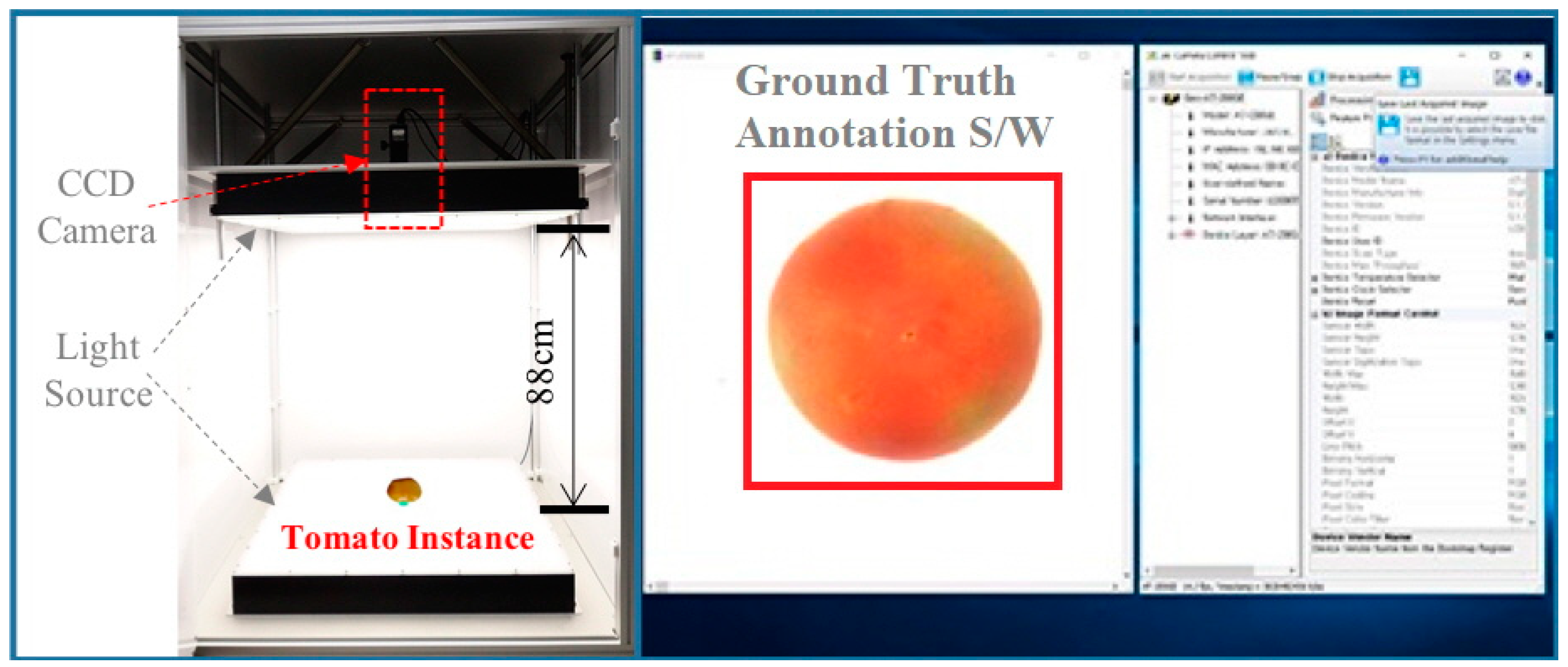 Sensors 21 00917 g001