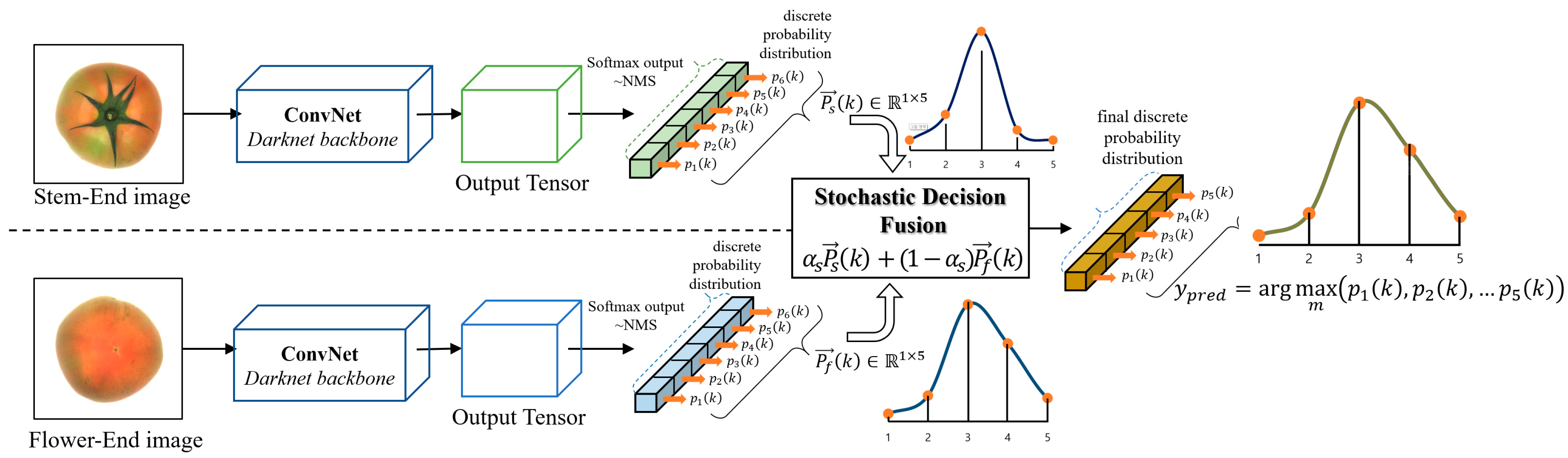 Sensors 21 00917 g002
