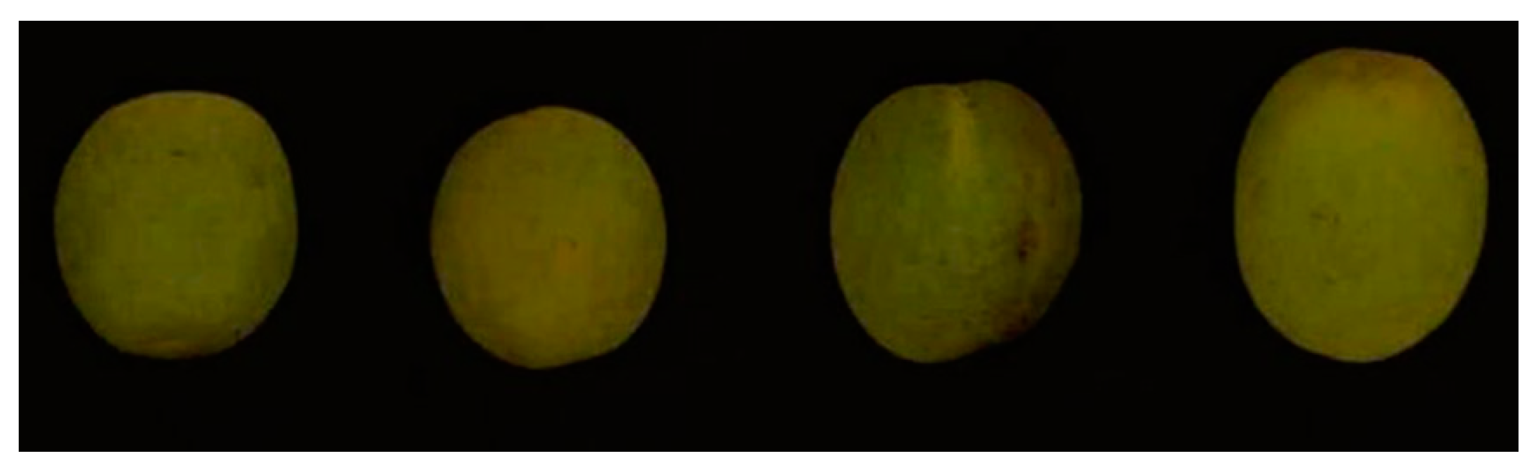 Sensors 21 00930 g002