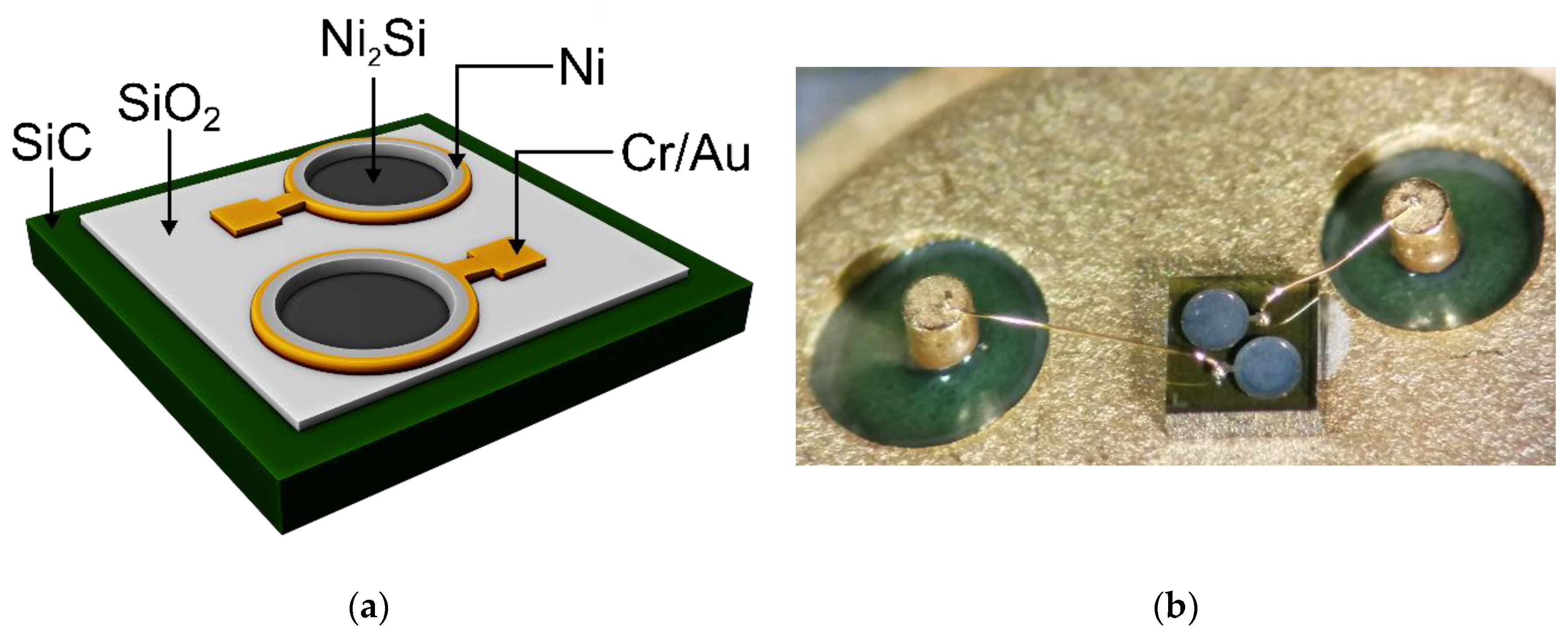 Sensors 21 00942 g001 Sensors 21 00942 g001