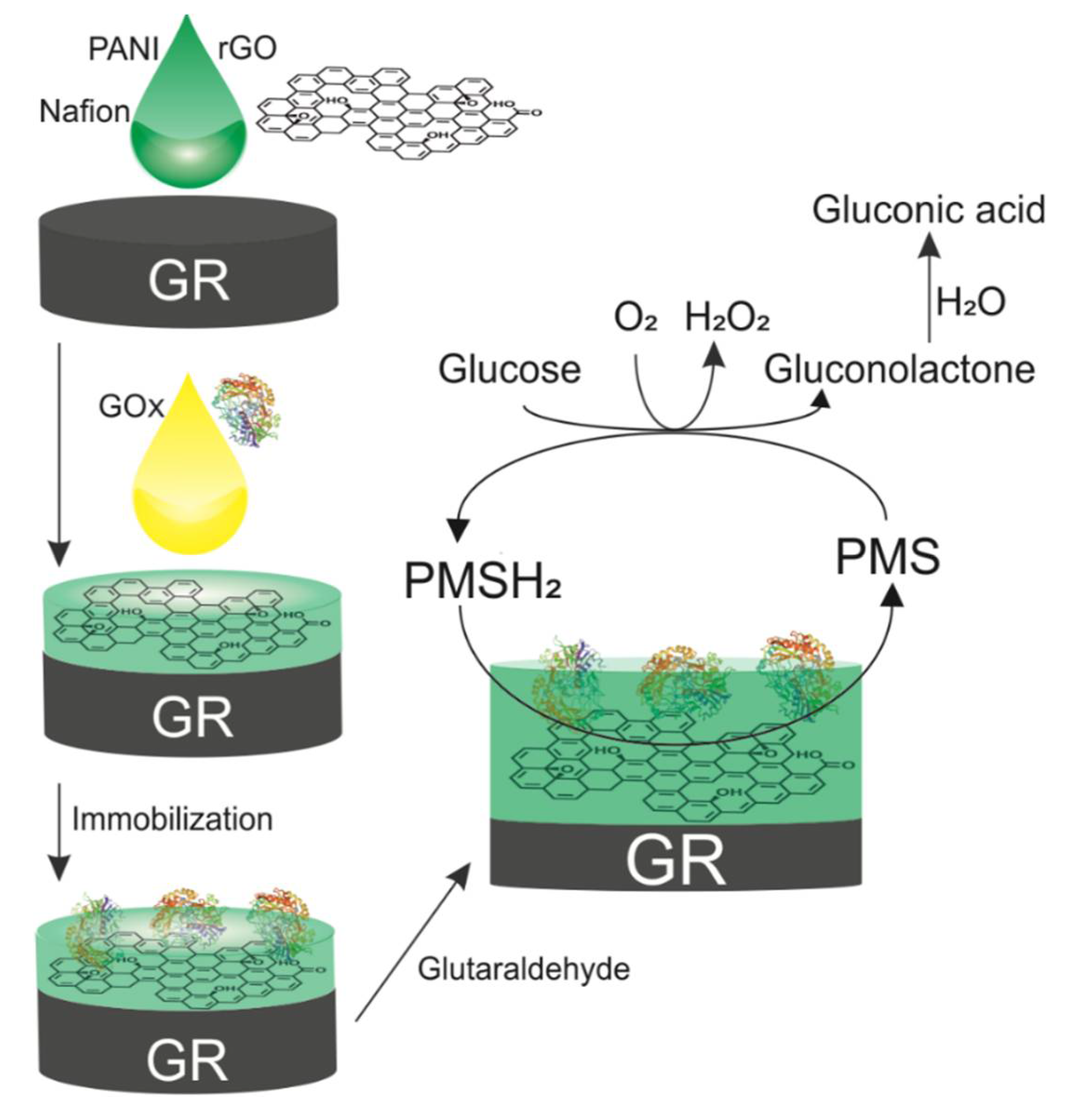 Sensors Free FullText Reduced Graphene Oxide and Polyaniline