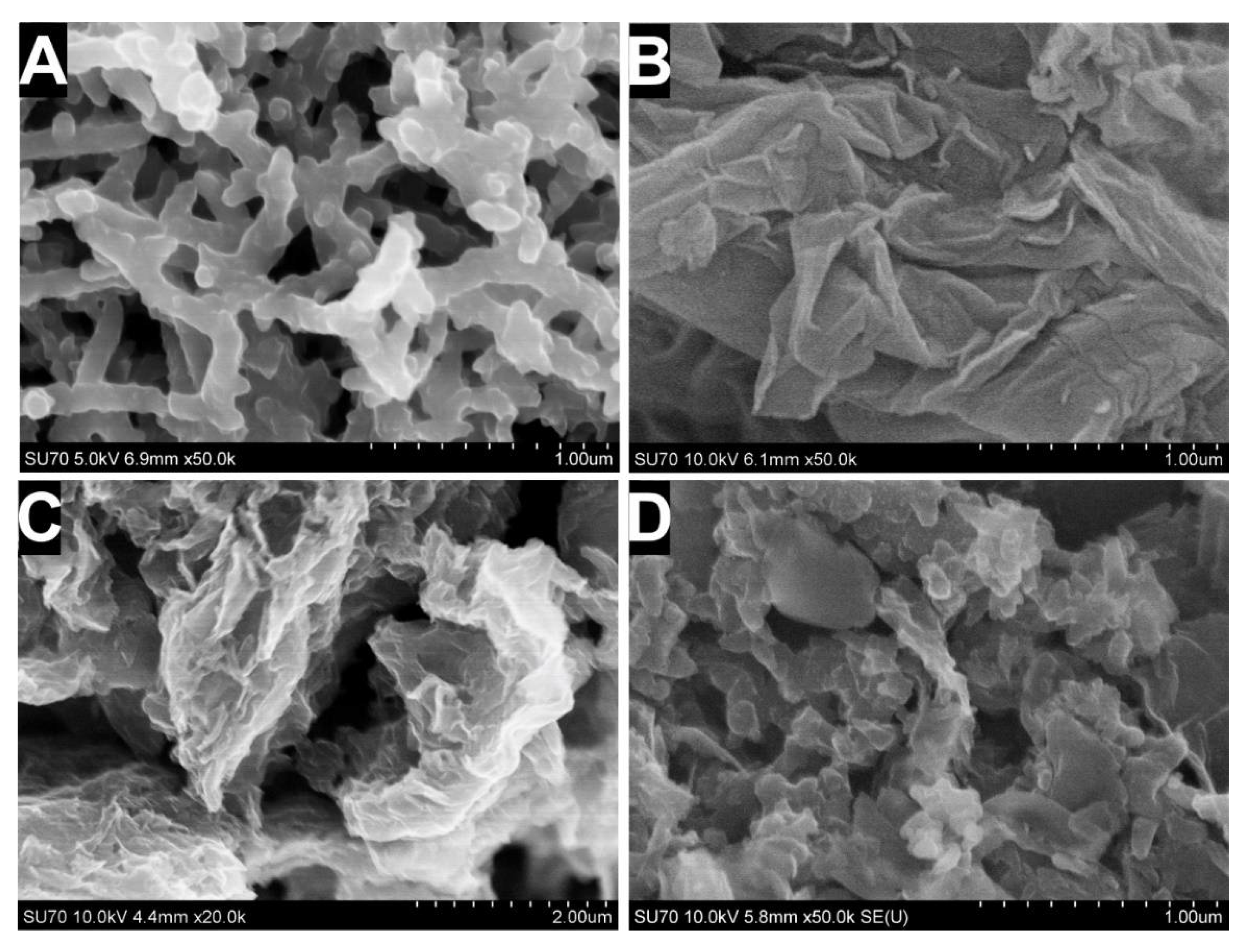 Sensors 21 00948 g003