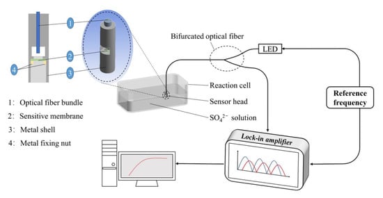 Sensors | Free Full-Text | An Optical Fiber Sensor Based on Fluorescence  Lifetime for the Determination of Sulfate Ions