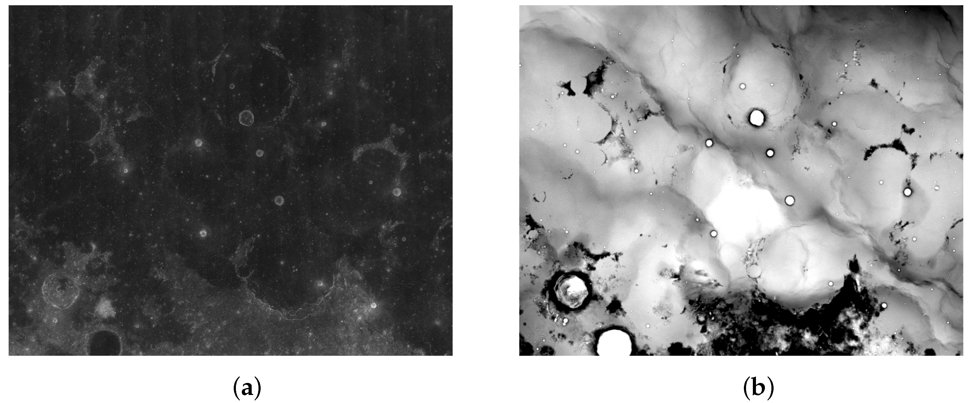 Sensors 21 00959 g001