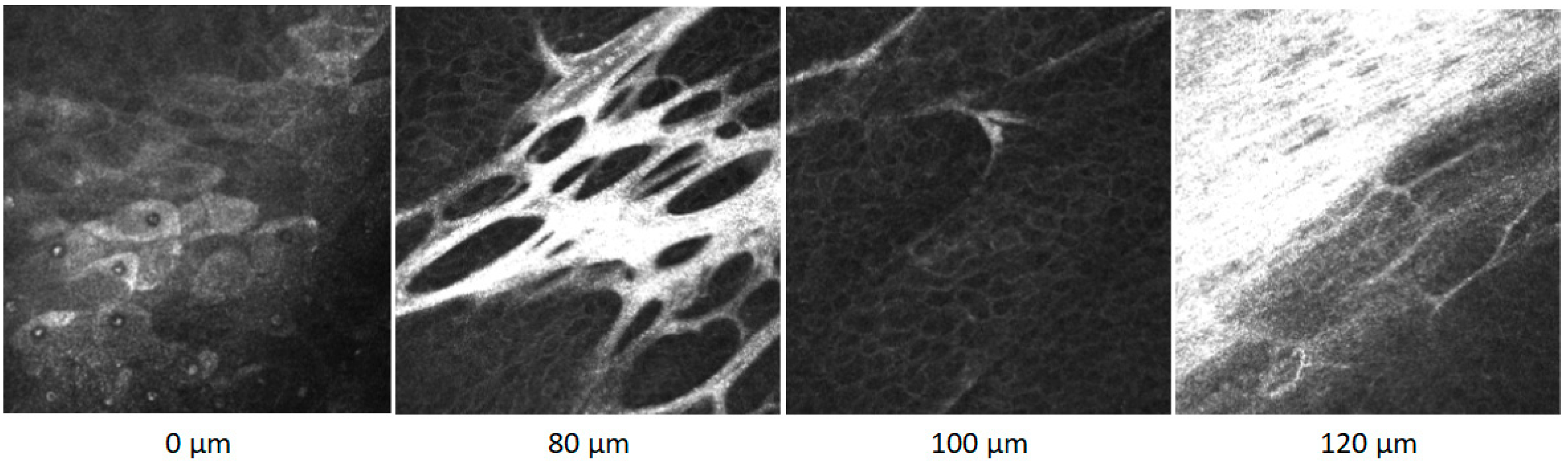 Sensors 21 00975 g002