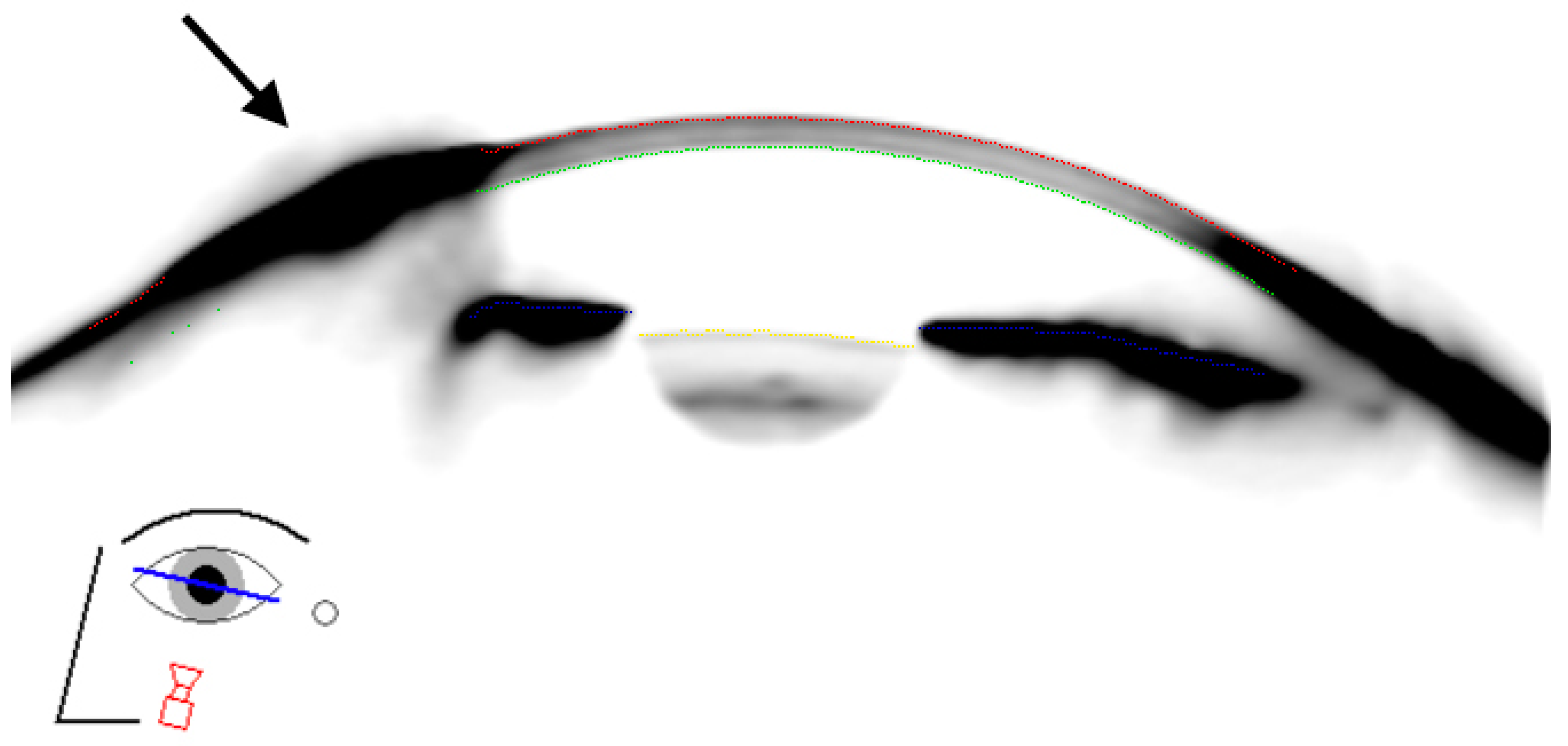 Sensors 21 00975 g006