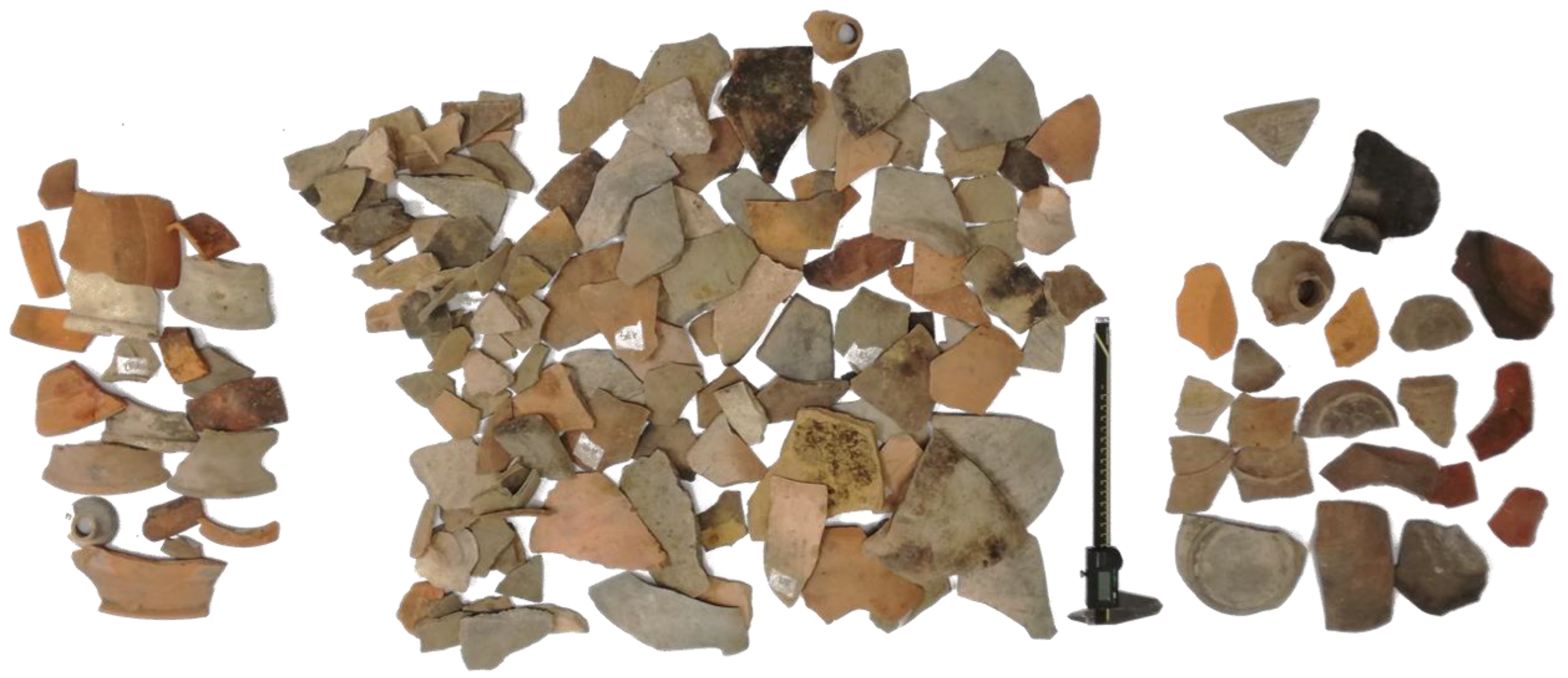 Sensors 21 00978 g010