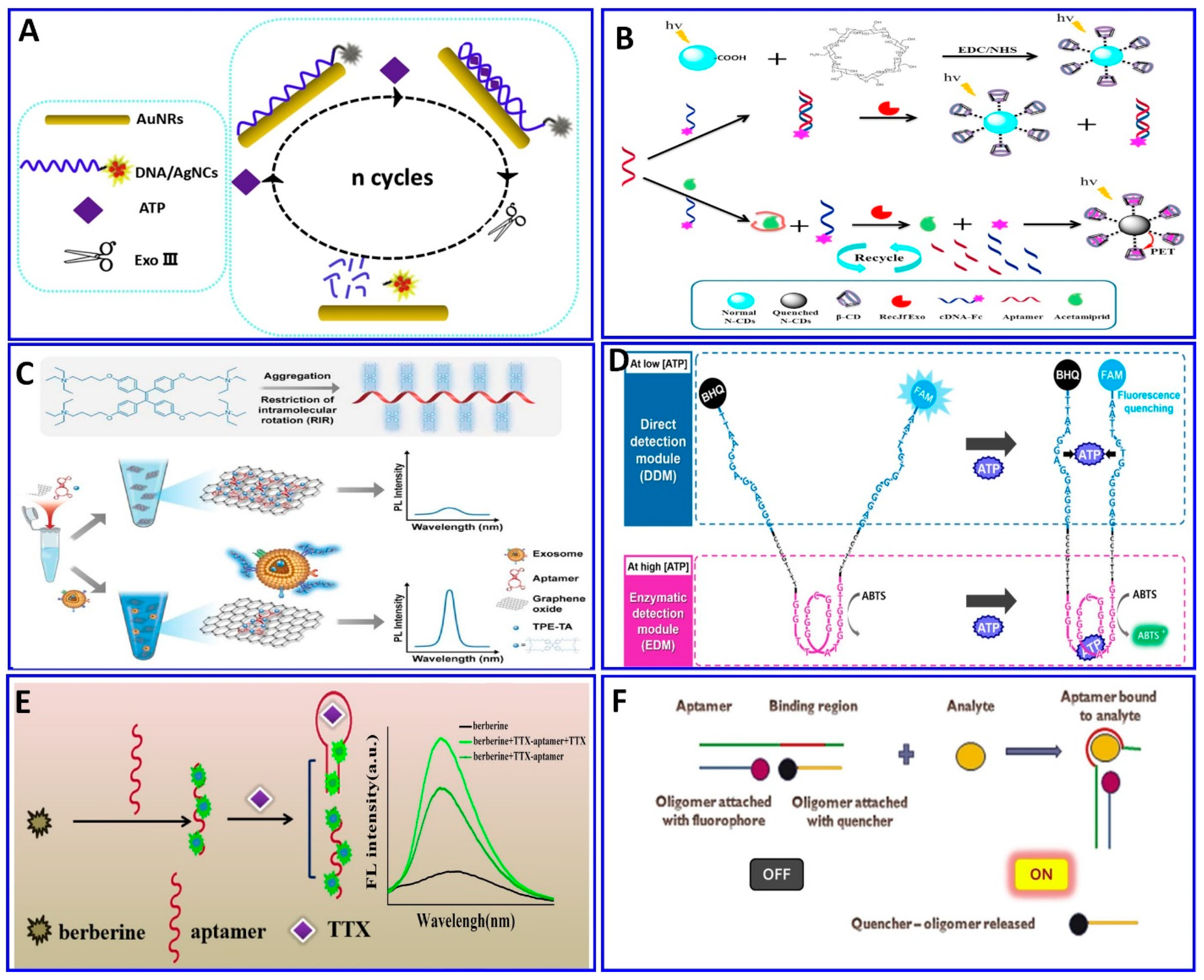 Sensors 21 00979 g008