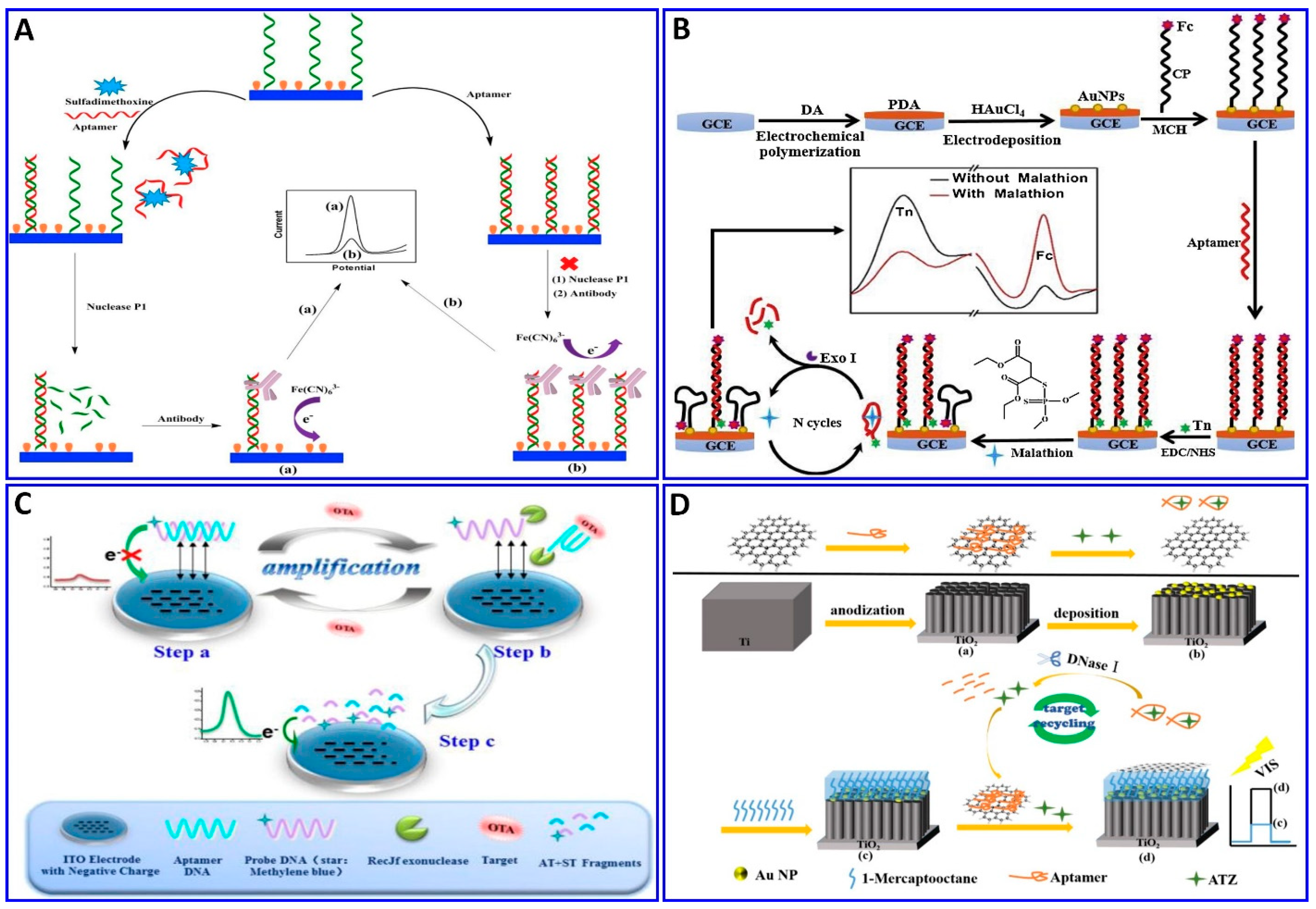 Sensors 21 00979 g011