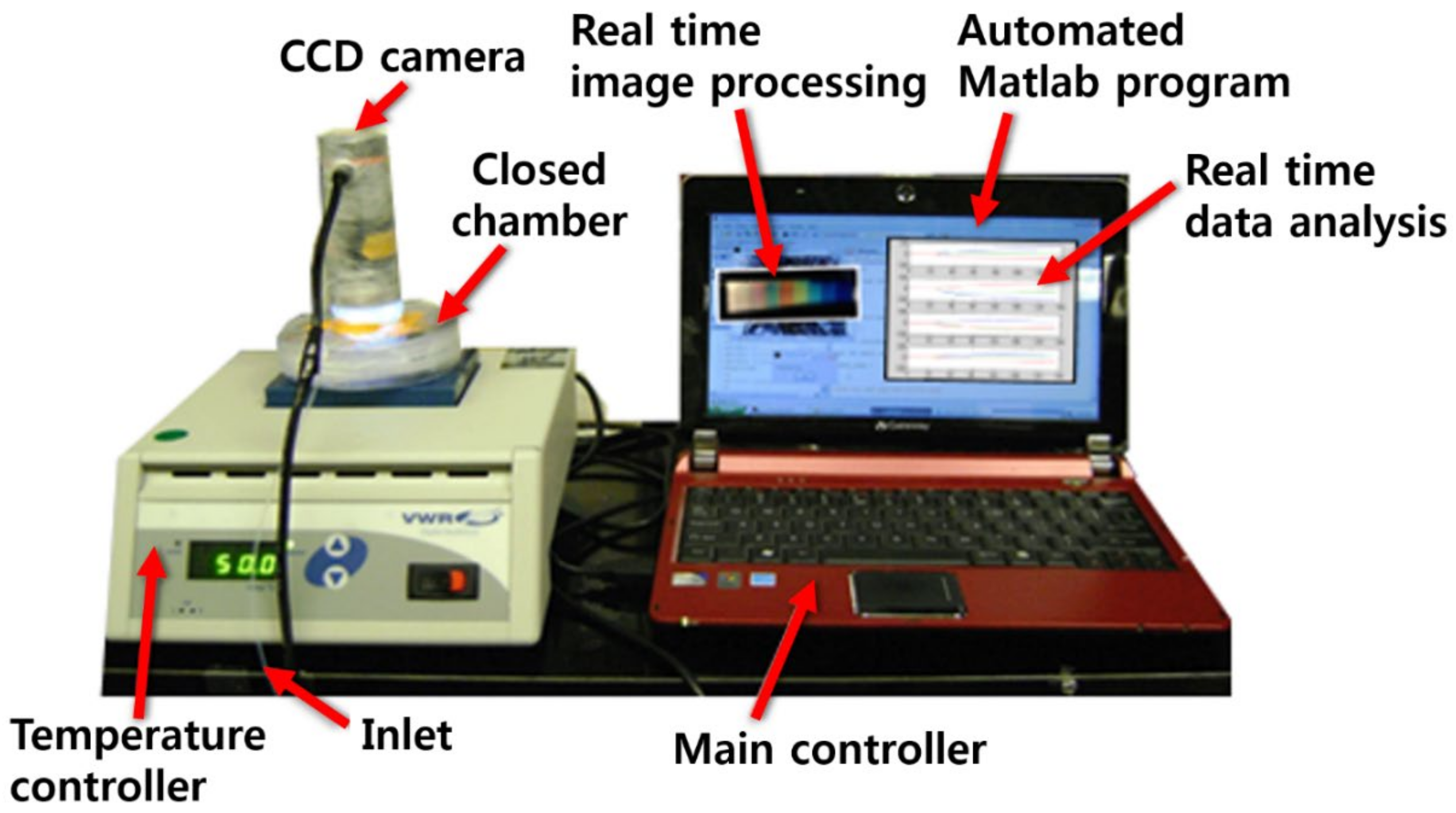 Sensors 21 00986 g002 Sensors 21 00986 g002