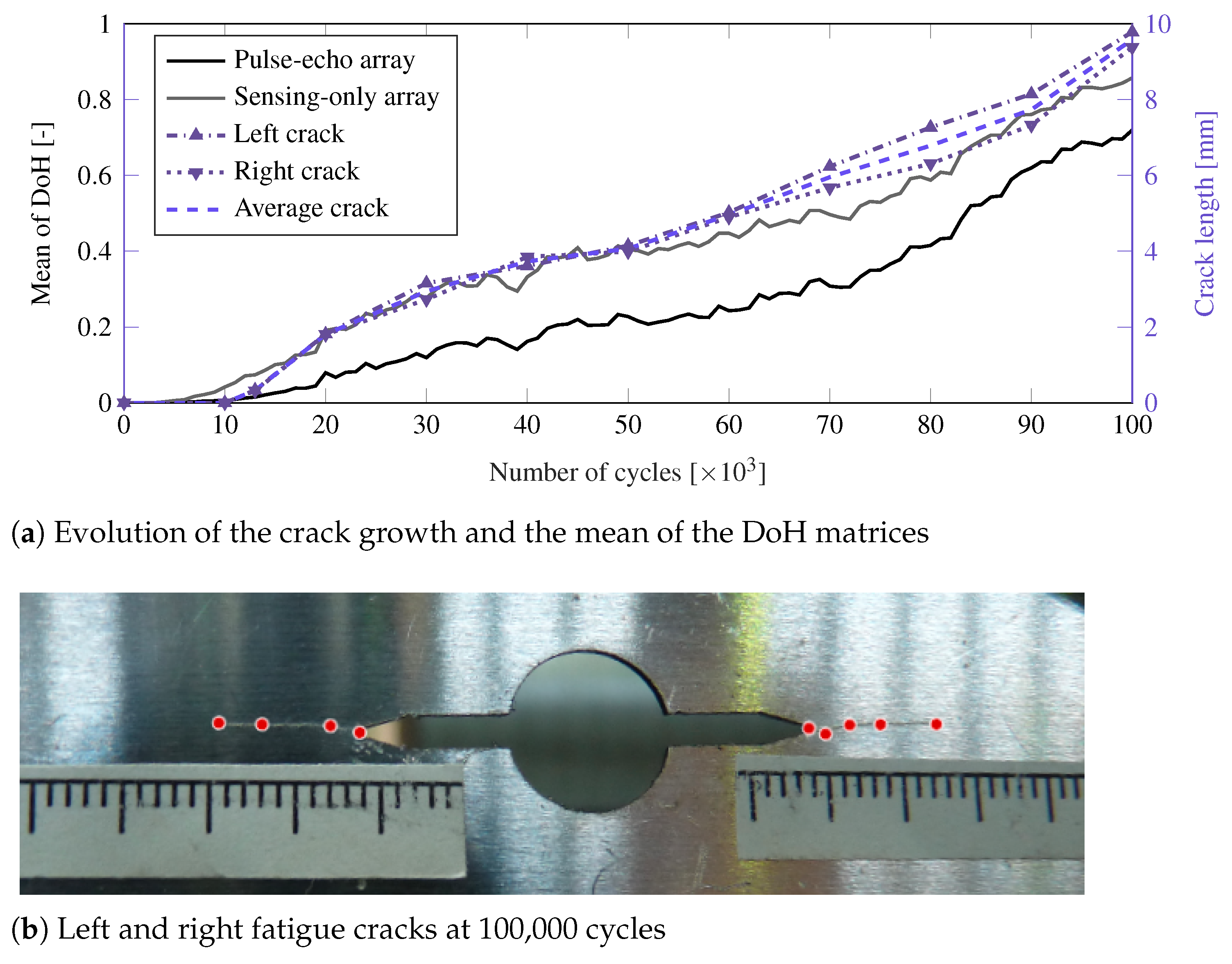 Sensors 21 00993 g007 Sensors 21 00993 g007
