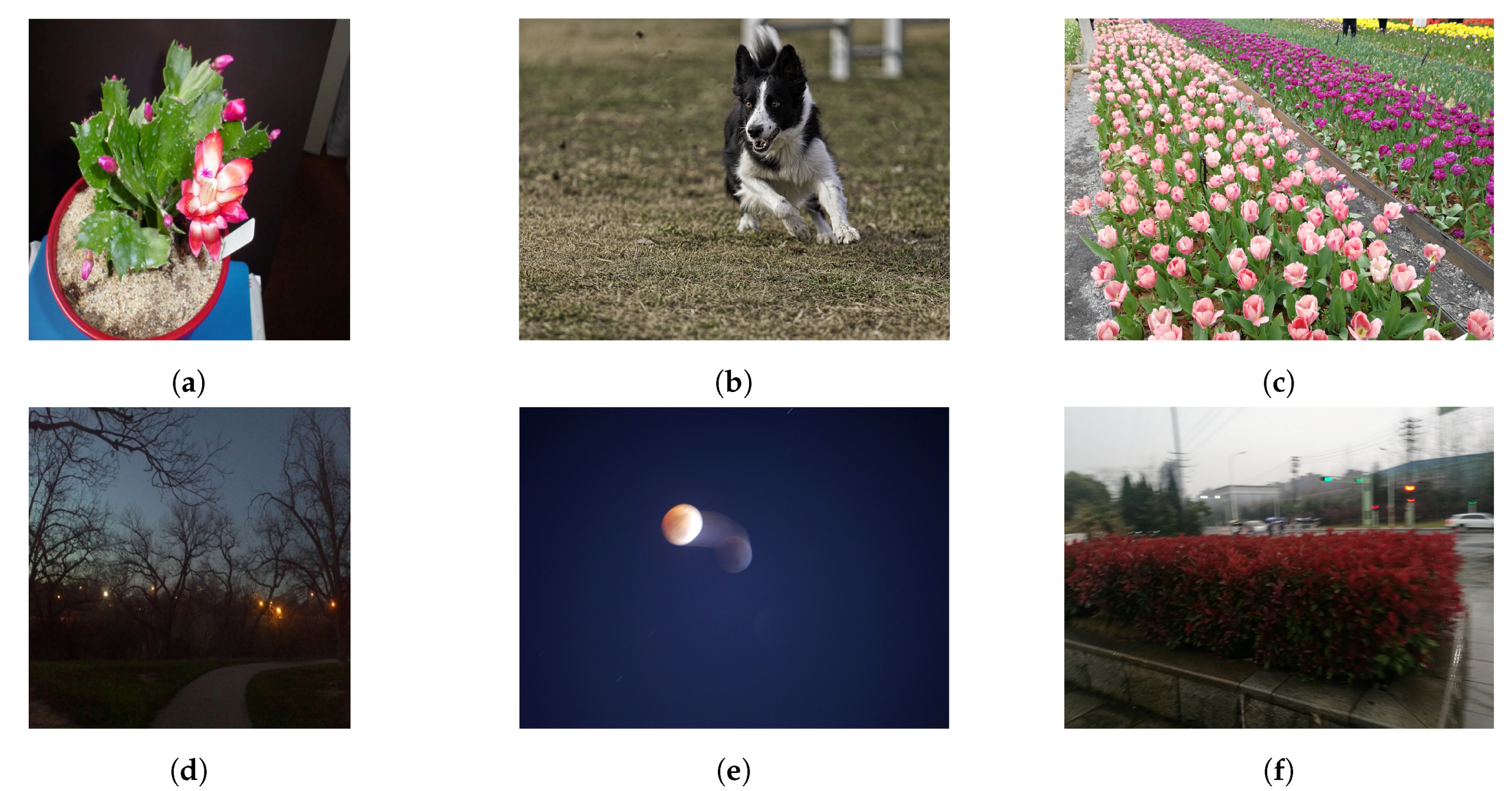 Sensors 21 00994 g006