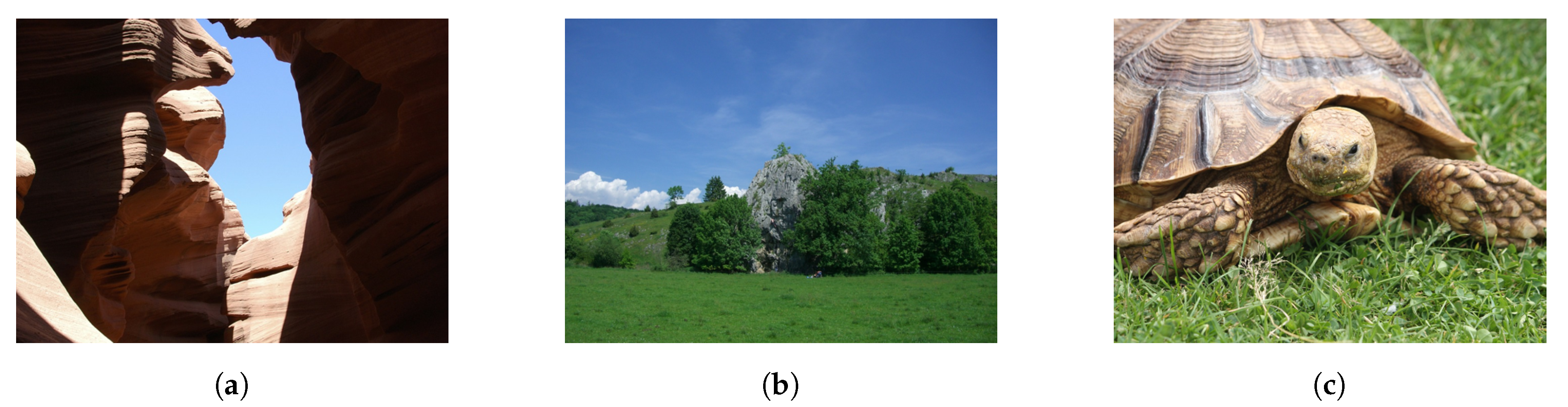 Sensors 21 00994 g007