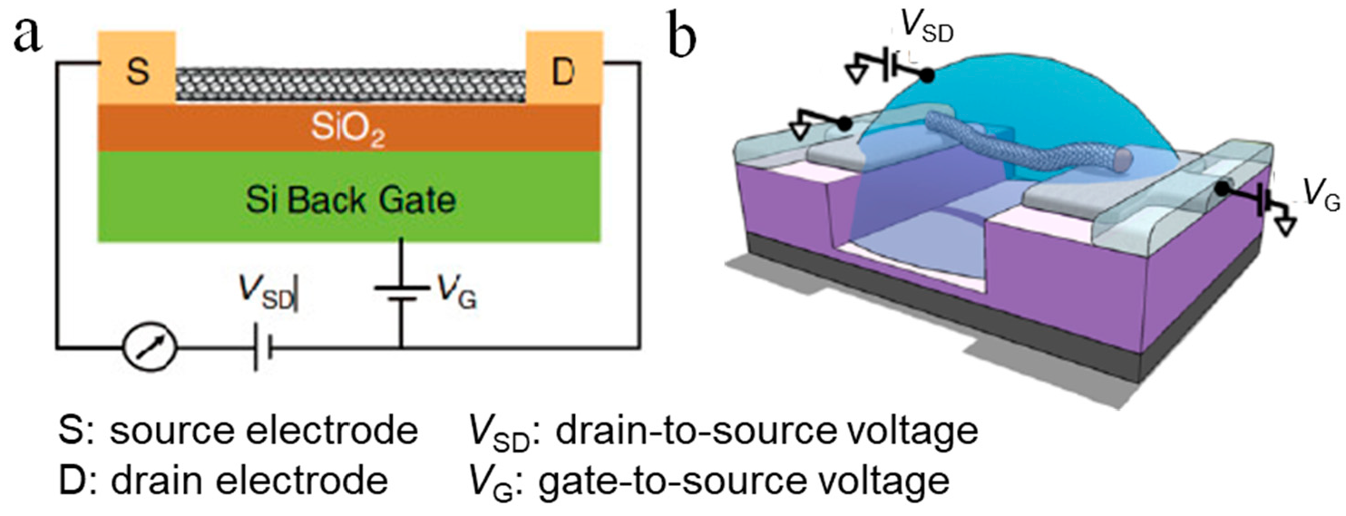 Sensors 21 00995 g002
