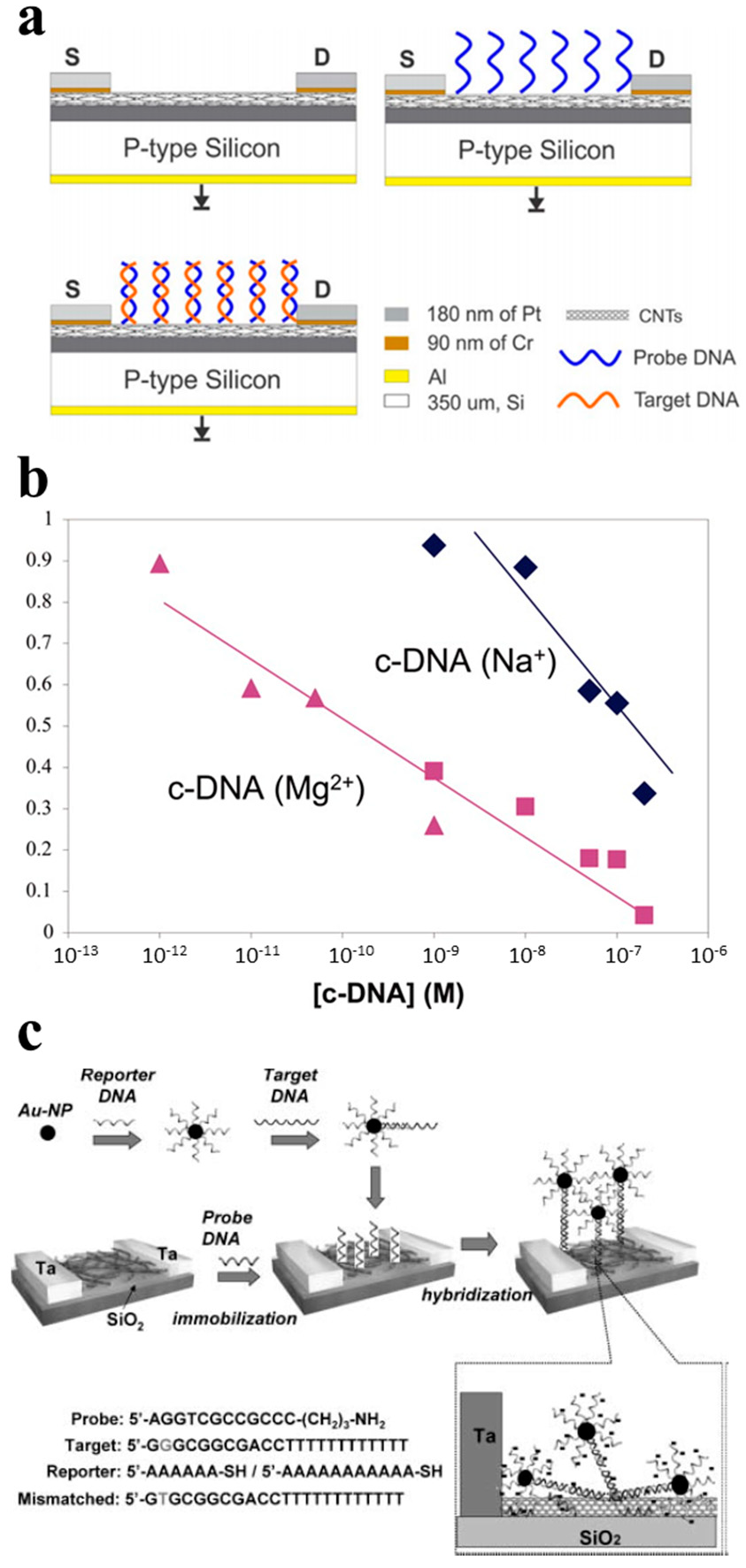 Sensors 21 00995 g007