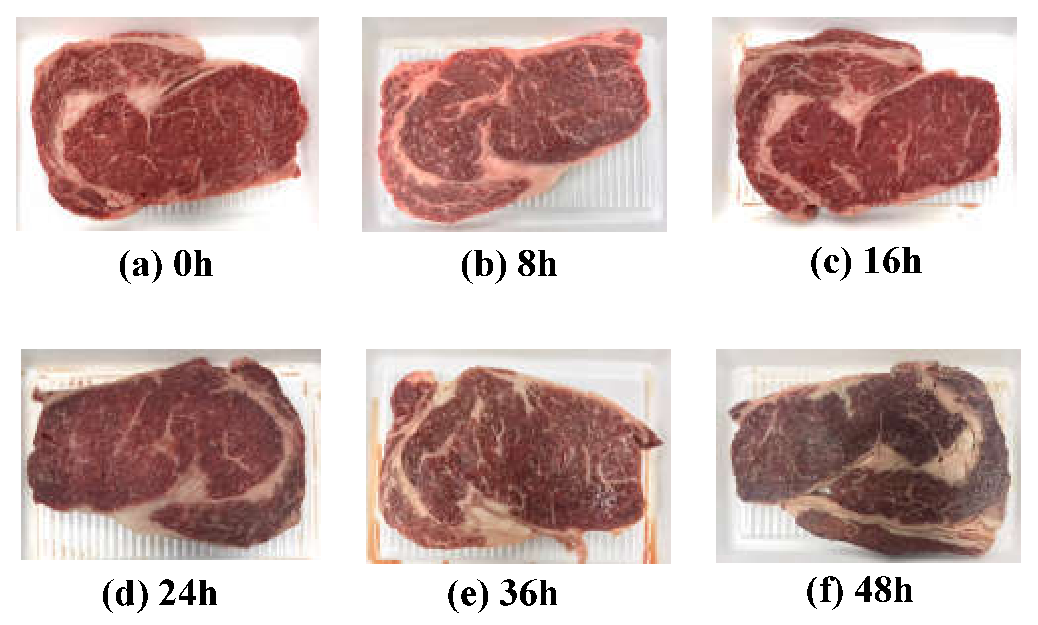 Spoiled Steak