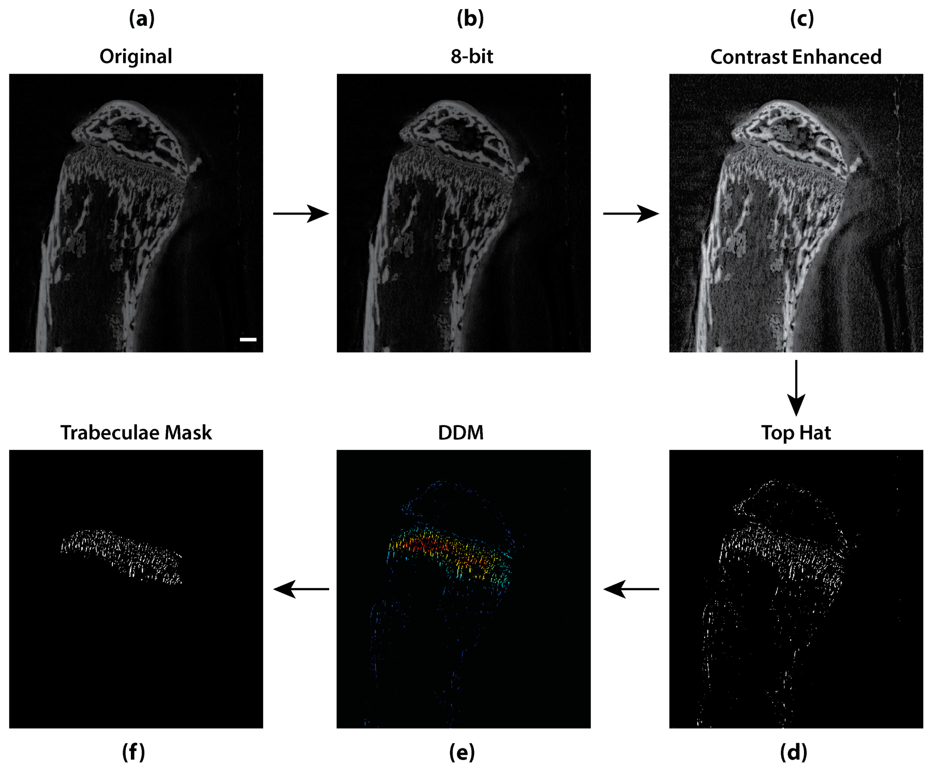 Sensors 21 01009 g007 Sensors 21 01009 g007