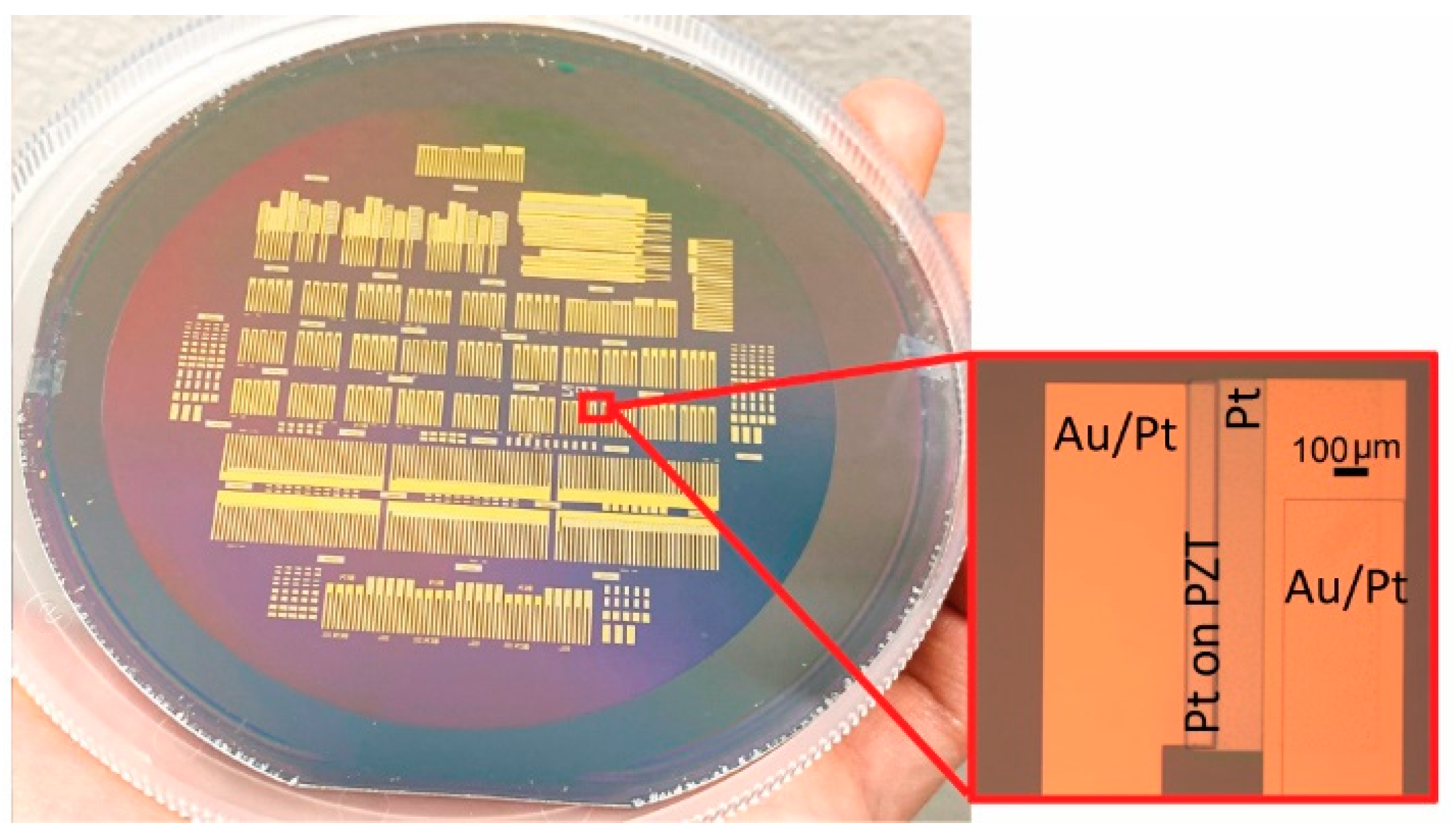 Sensors 21 01014 g002 Sensors 21 01014 g002