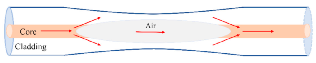 Sensors 21 01023 g001