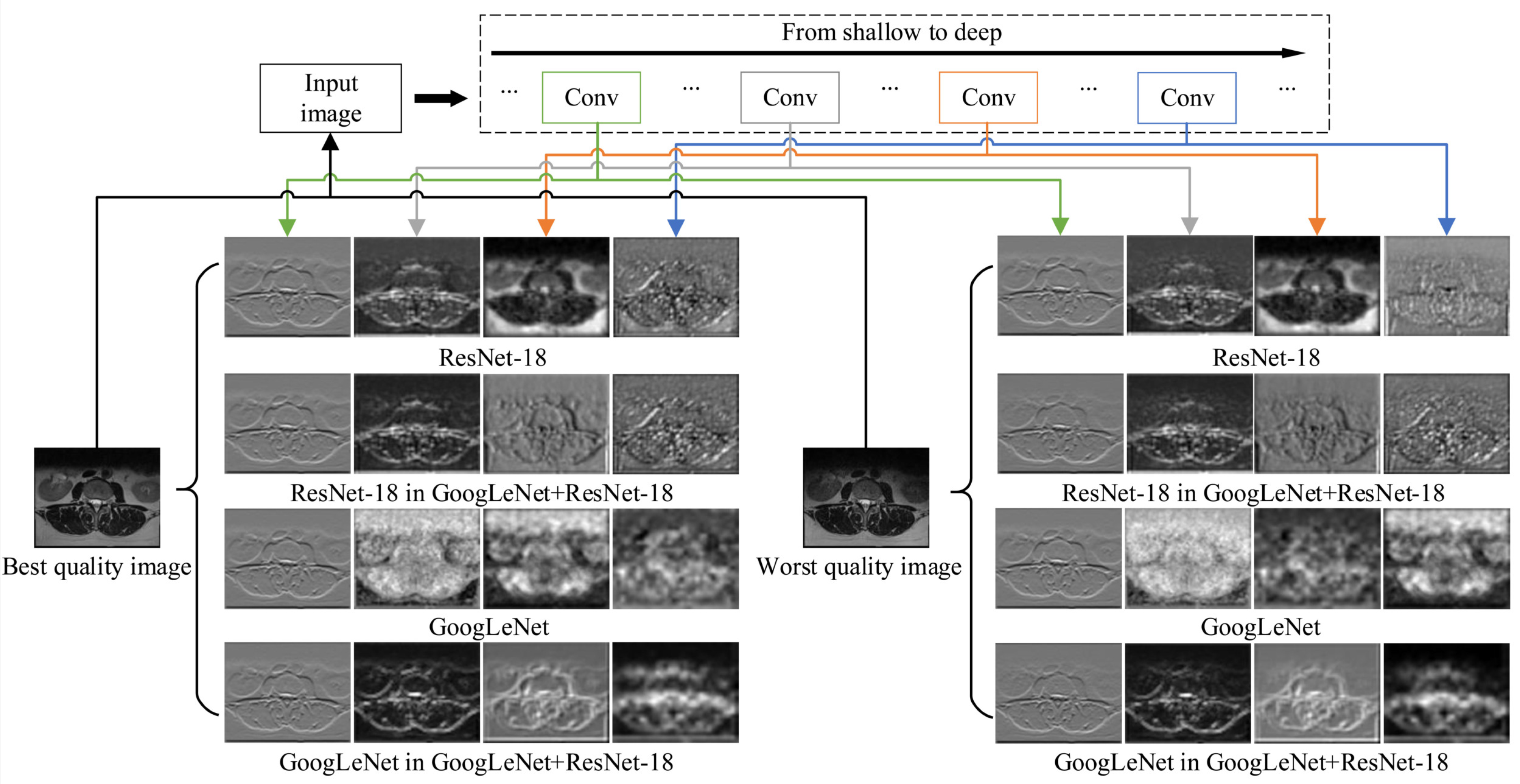 Sensors 21 01043 g003 Sensors 21 01043 g003
