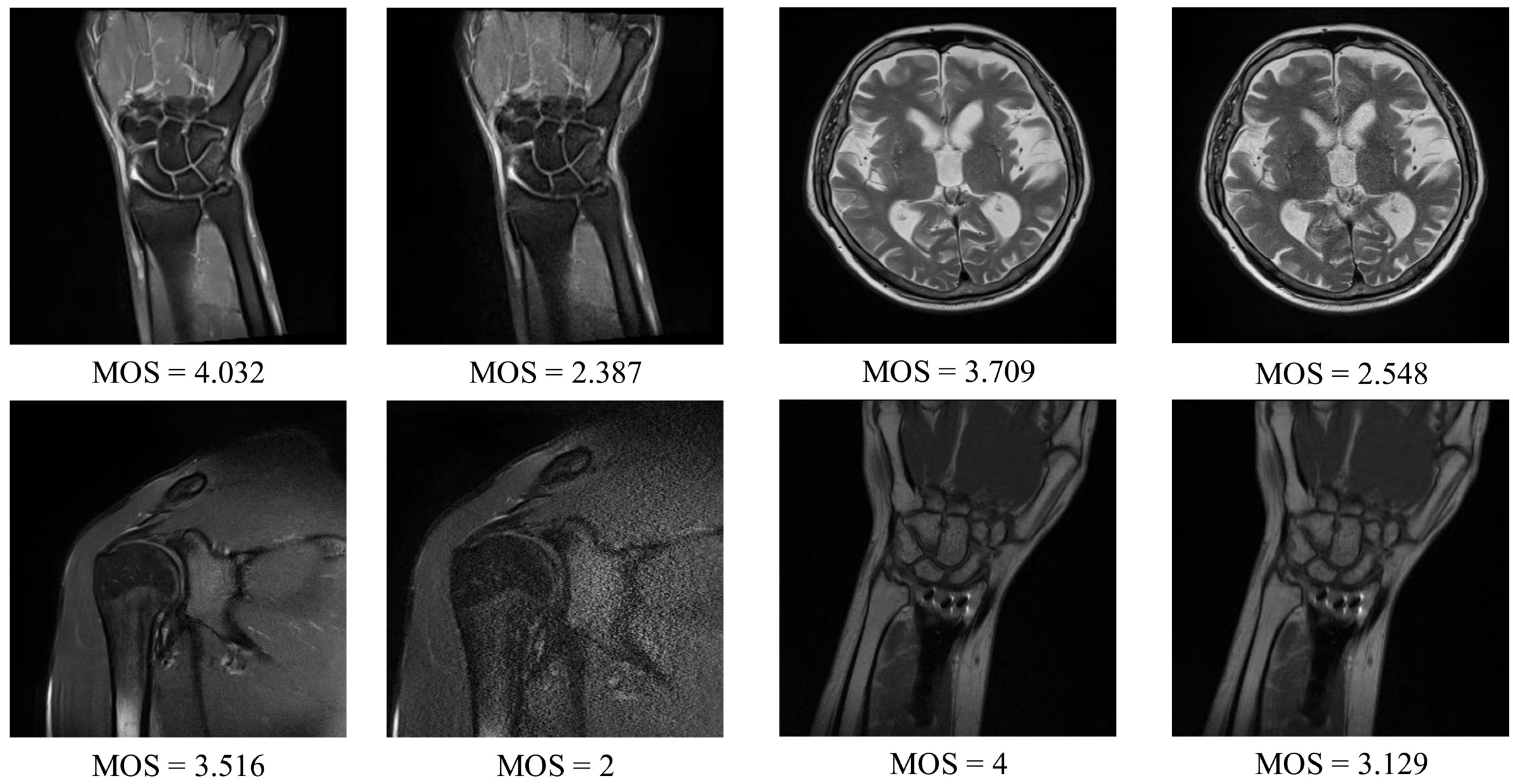 Sensors 21 01043 g004 Sensors 21 01043 g004