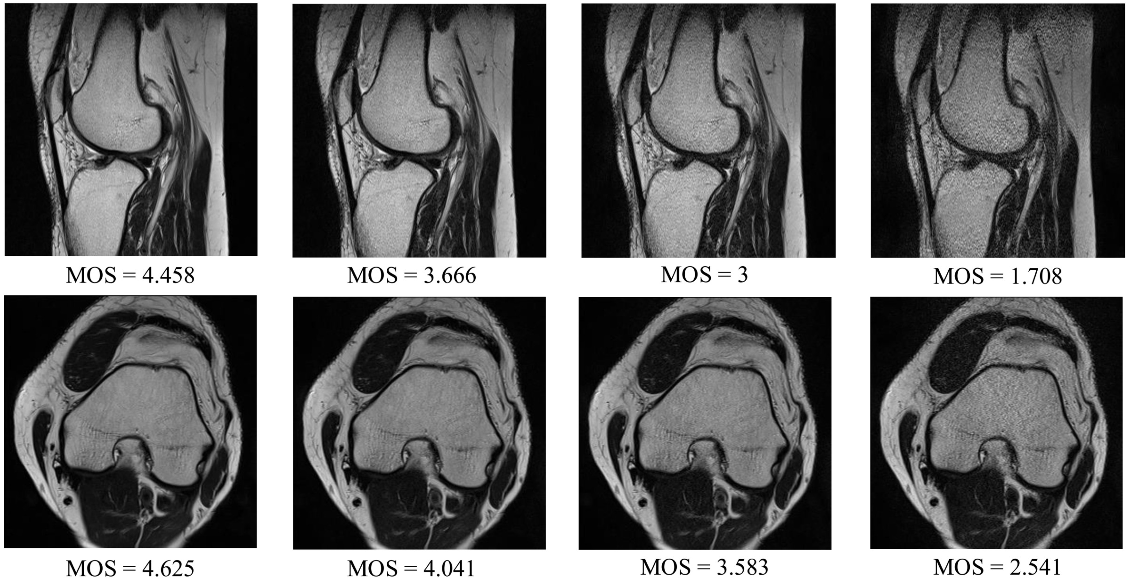 Sensors 21 01043 g005 Sensors 21 01043 g005