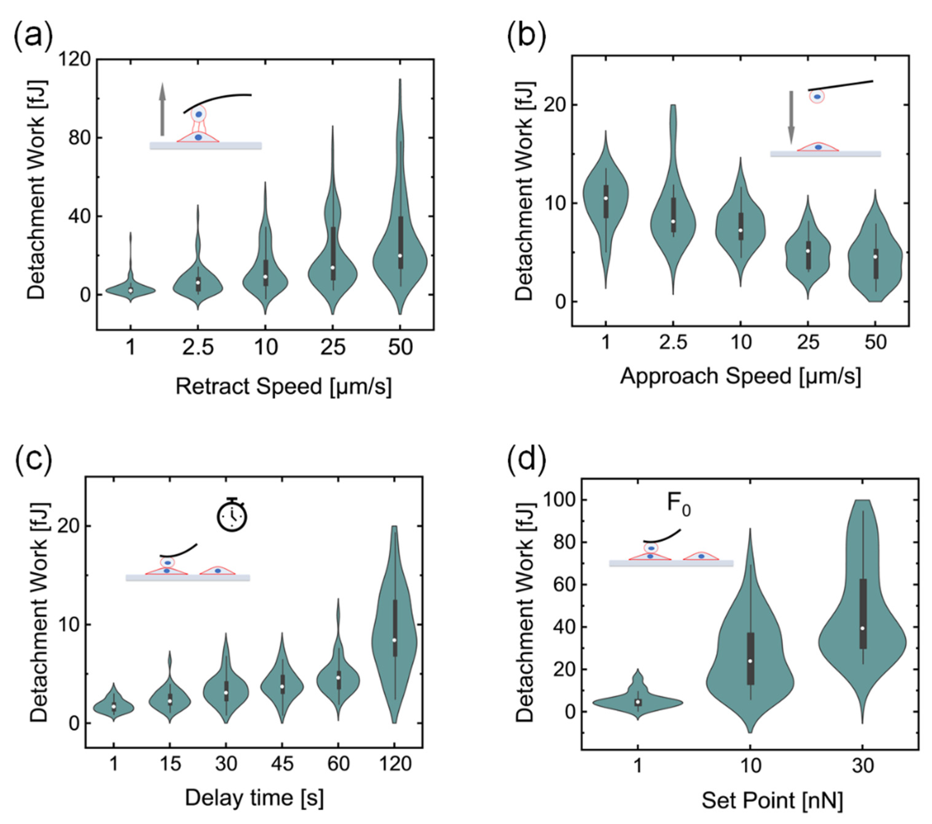 Sensors 21 01069 g002