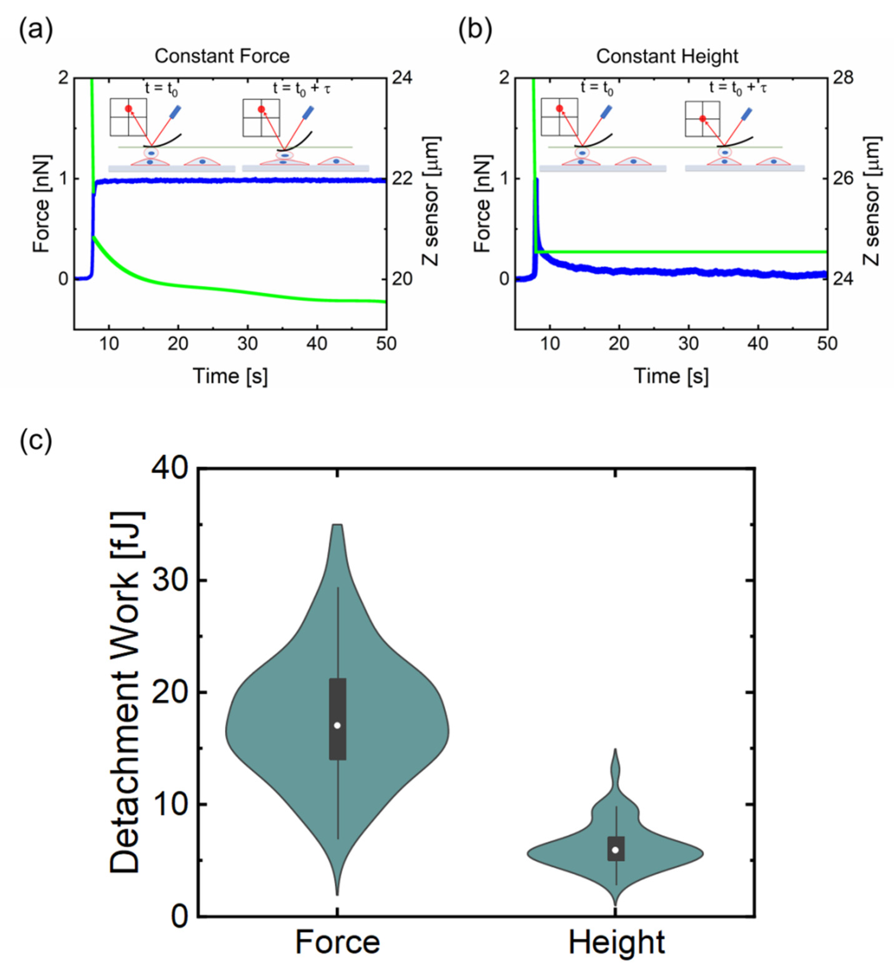 Sensors 21 01069 g003